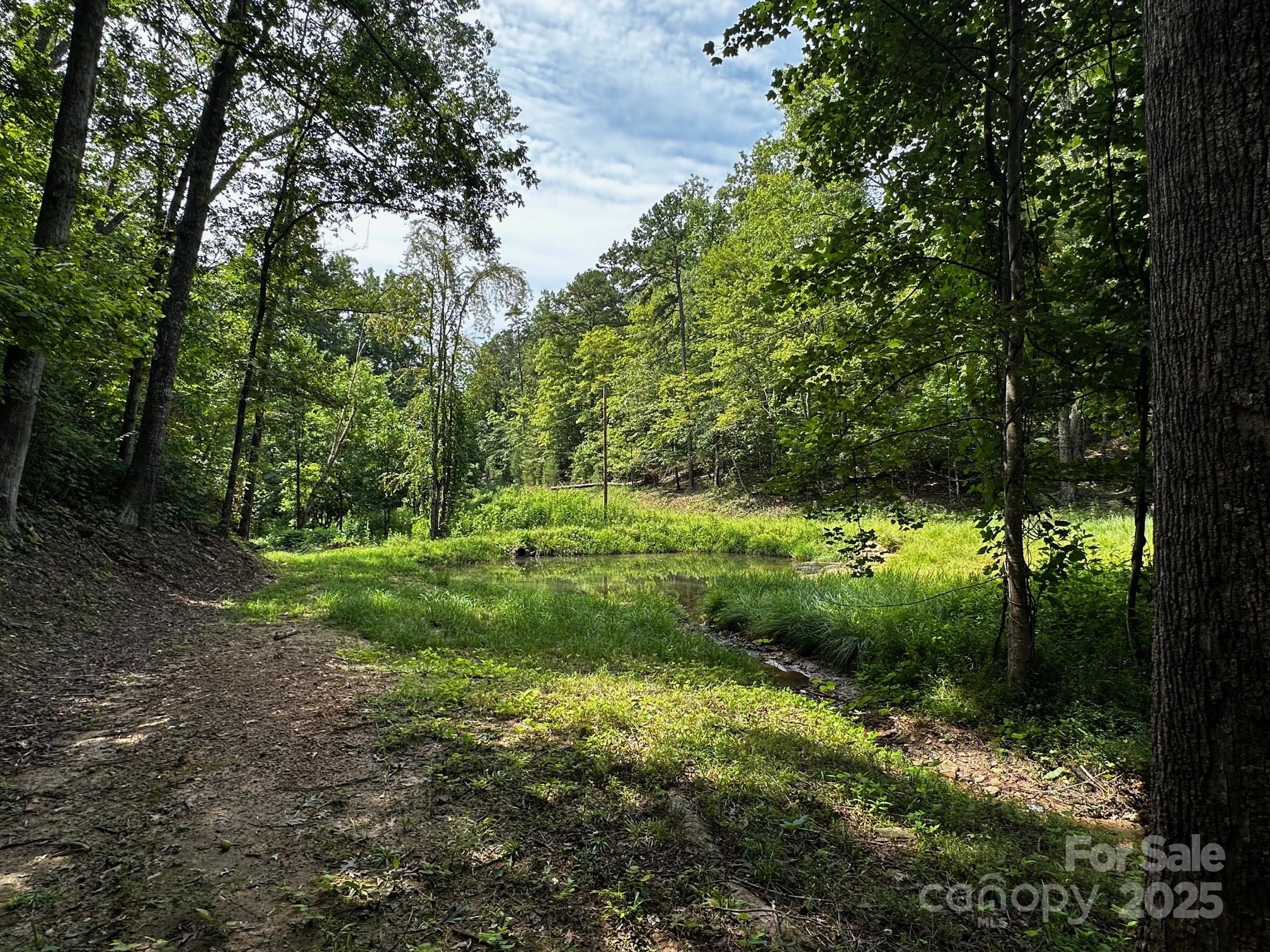 9999 Rock Ledge Drive Lake Lure NC 28746