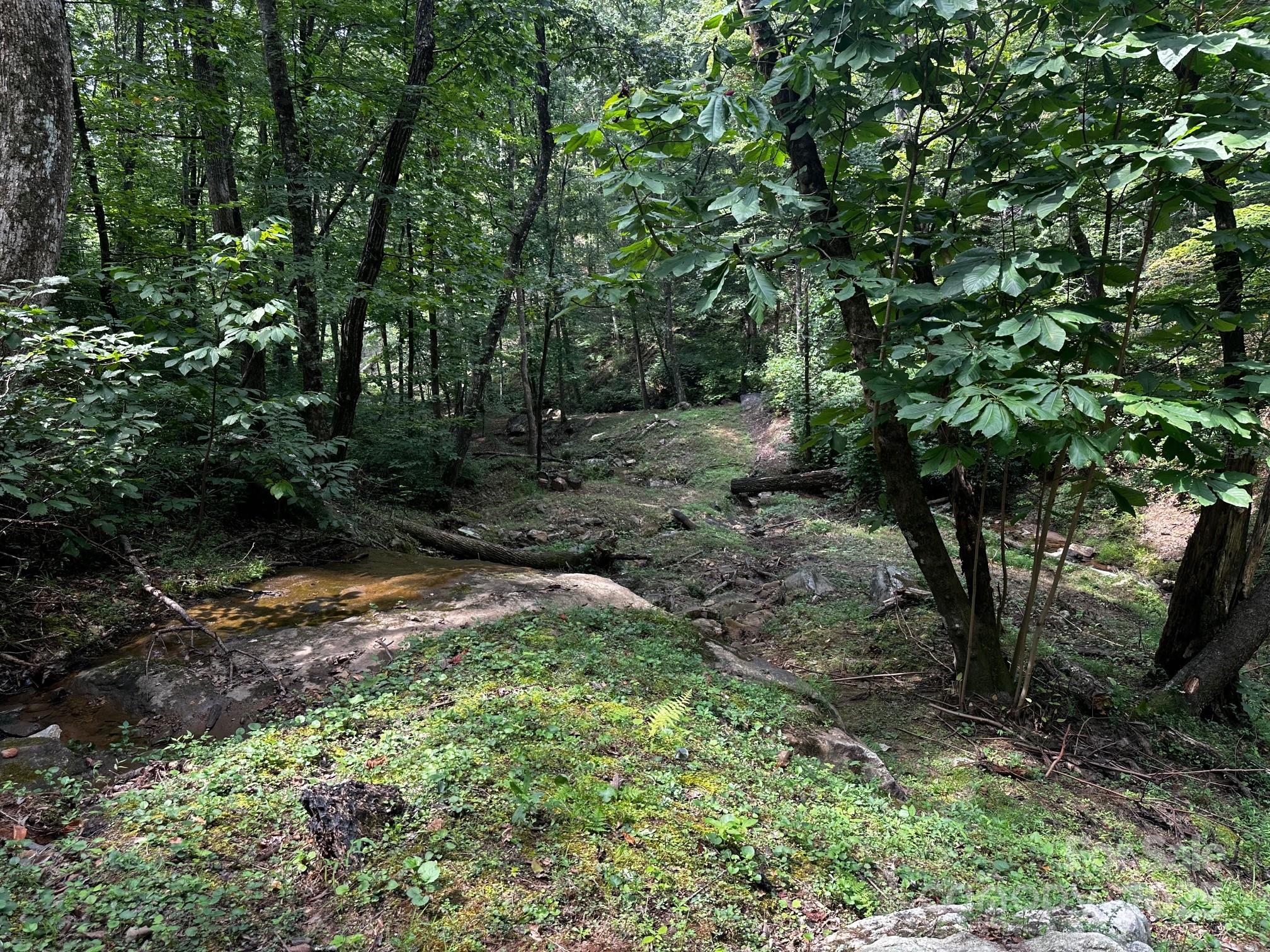 9999 Rock Ledge Drive Lake Lure NC 28746