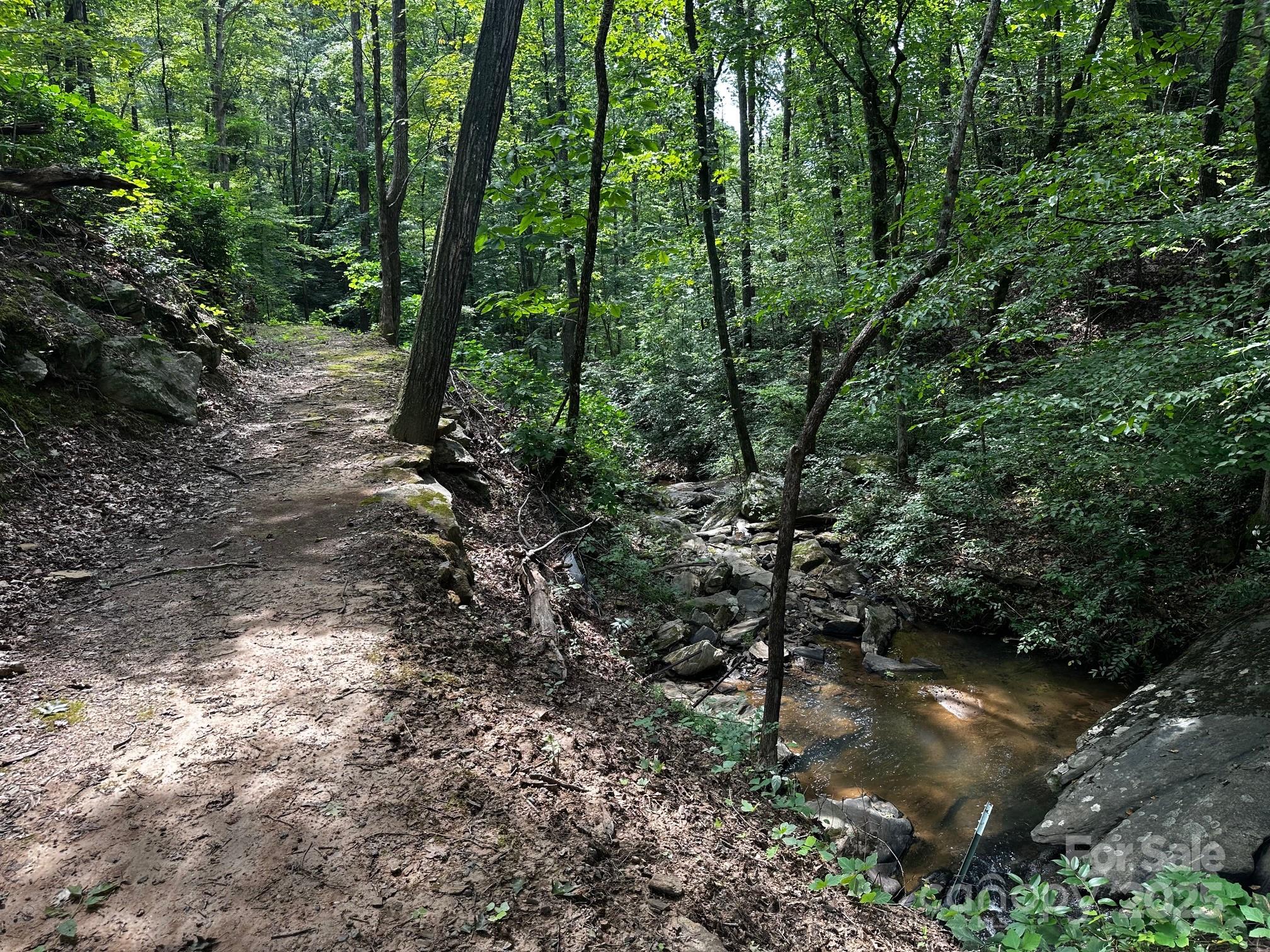 9999 Rock Ledge Drive Lake Lure NC 28746