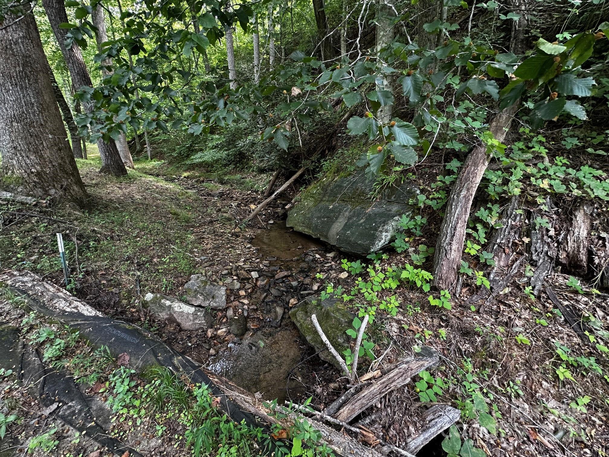 9999 Rock Ledge Drive Lake Lure NC 28746