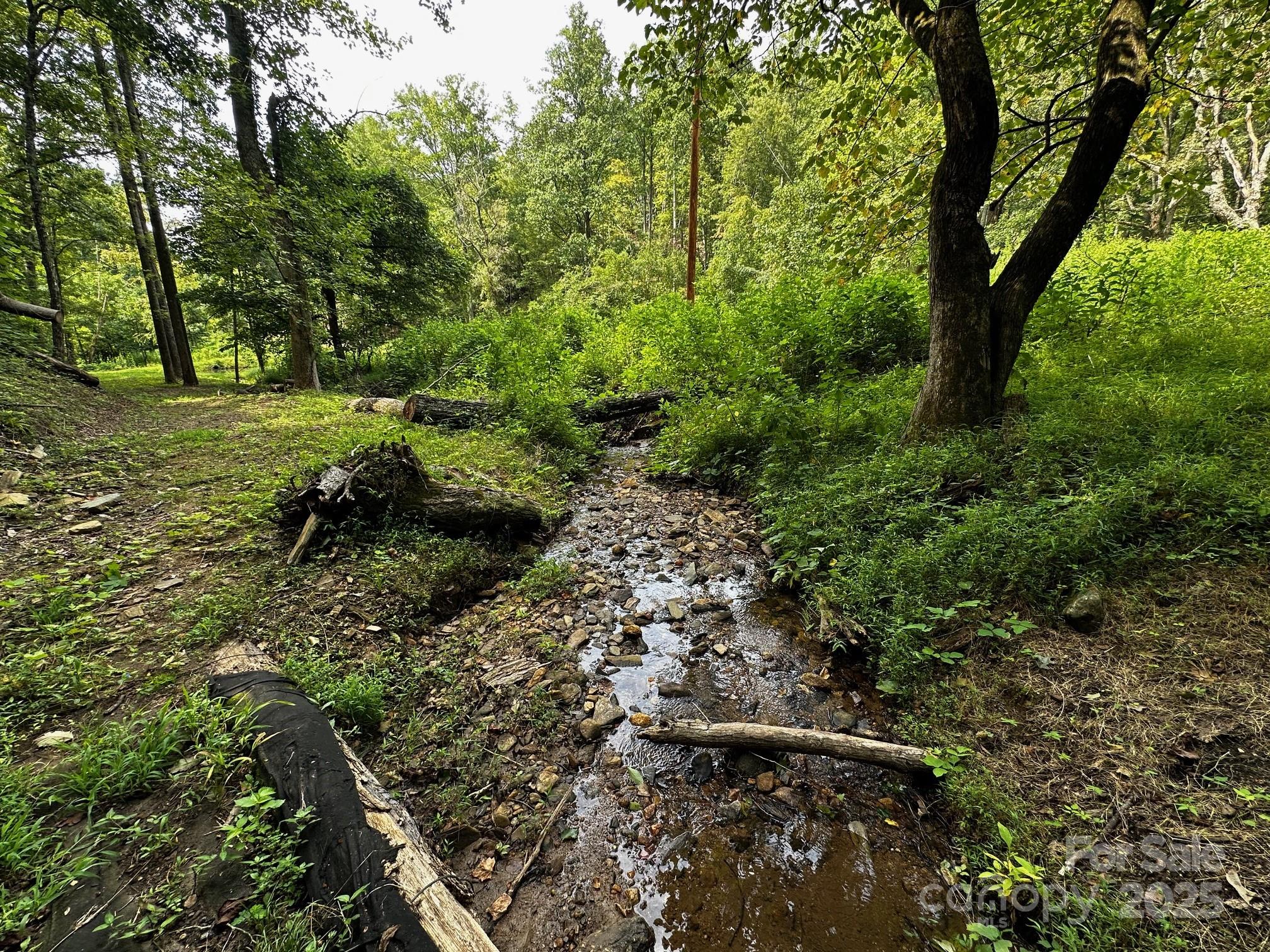 9999 Rock Ledge Drive Lake Lure NC 28746