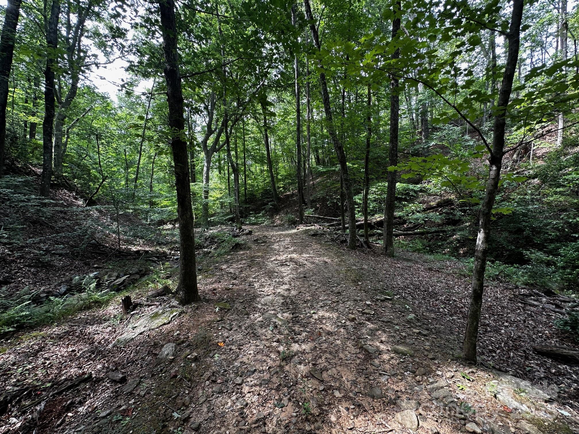 9999 Rock Ledge Drive Lake Lure NC 28746