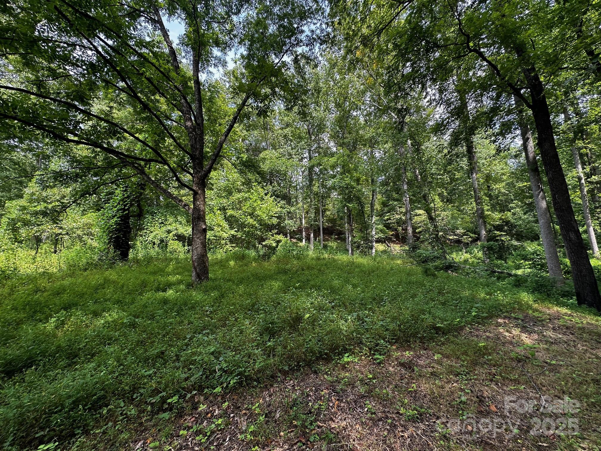 9999 Rock Ledge Drive Lake Lure NC 28746