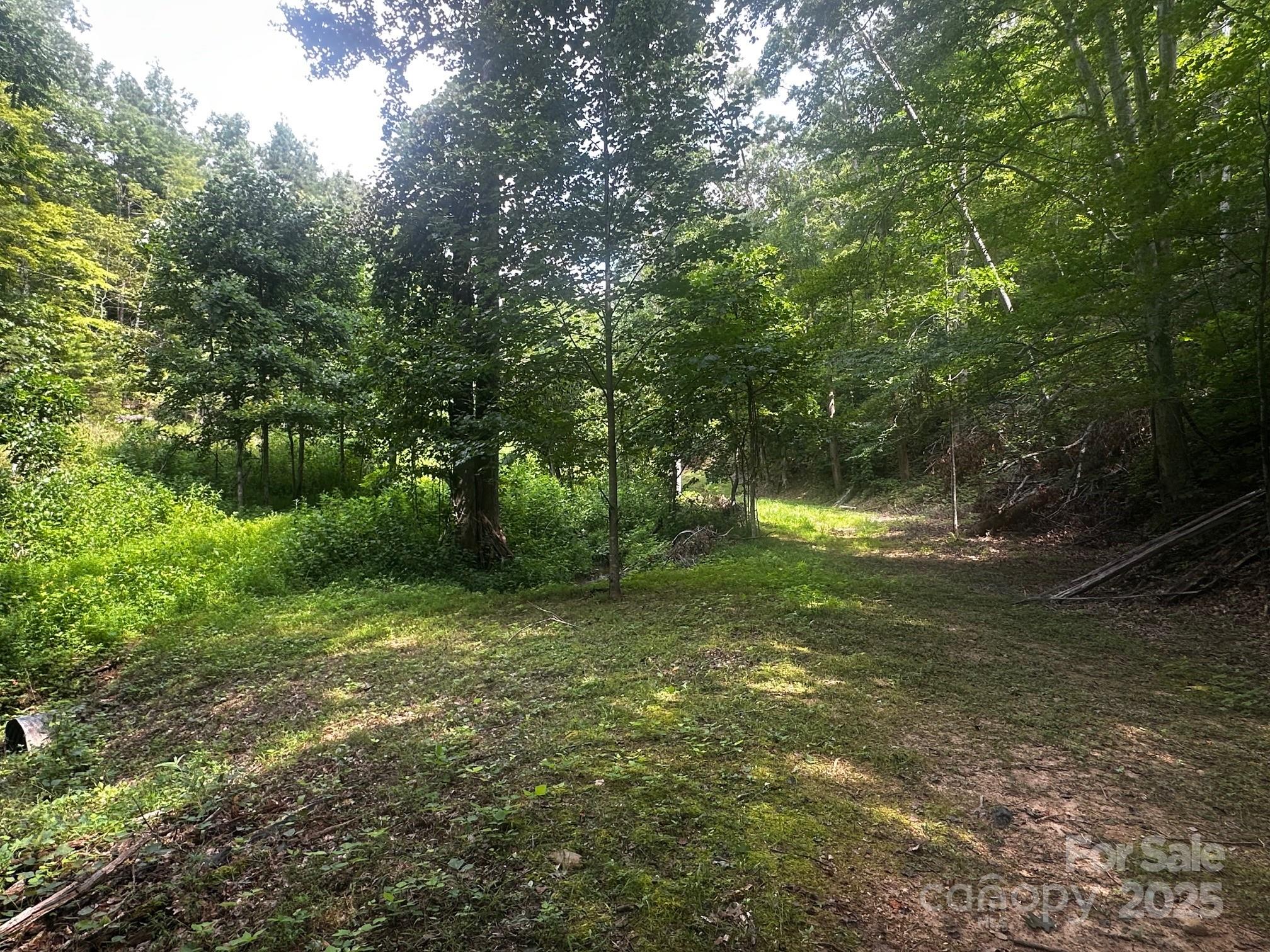 9999 Rock Ledge Drive Lake Lure NC 28746