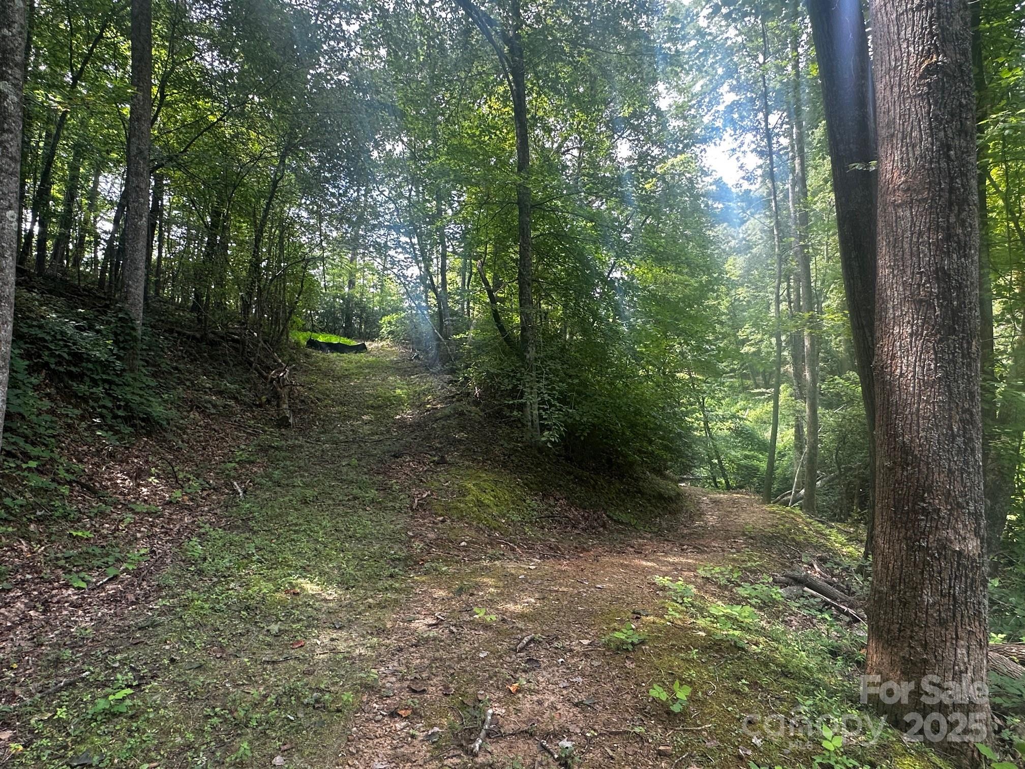 9999 Rock Ledge Drive Lake Lure NC 28746