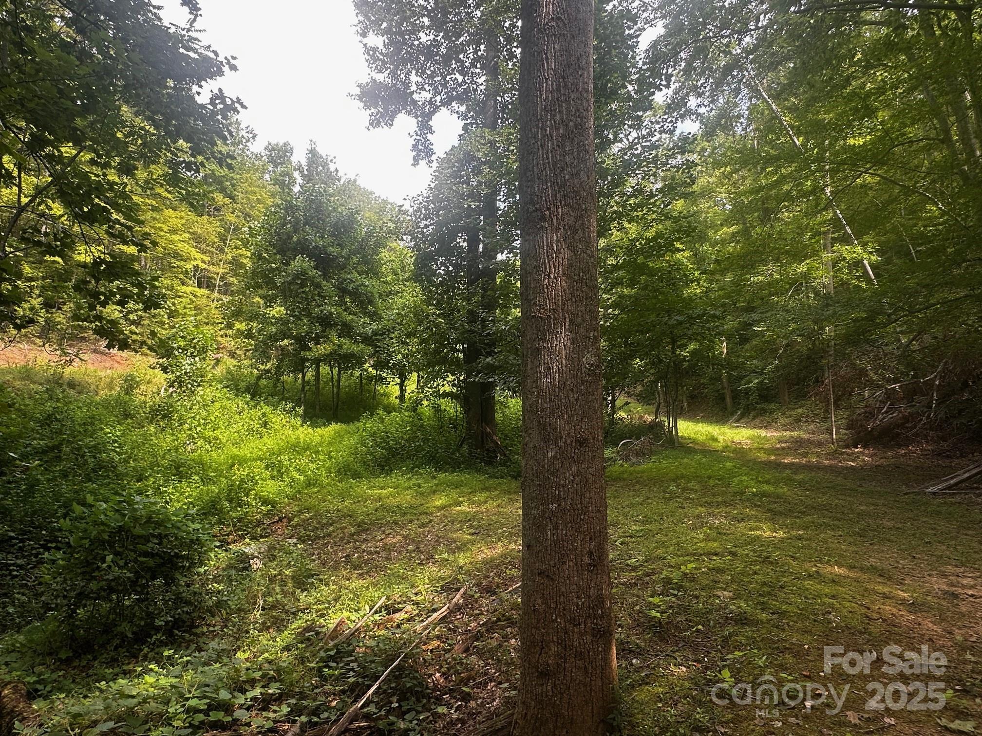 9999 Rock Ledge Drive Lake Lure NC 28746