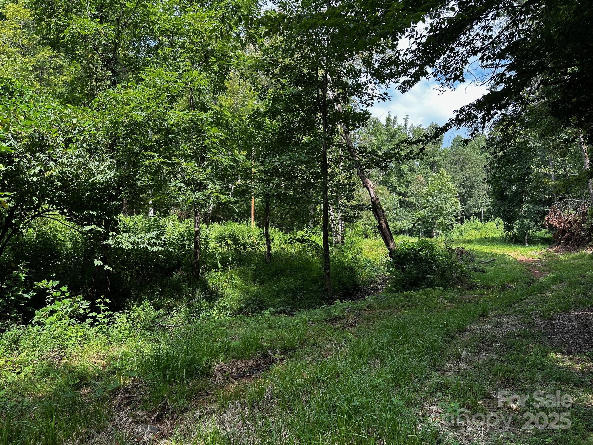 9999 Rock Ledge Drive Lake Lure NC 28746