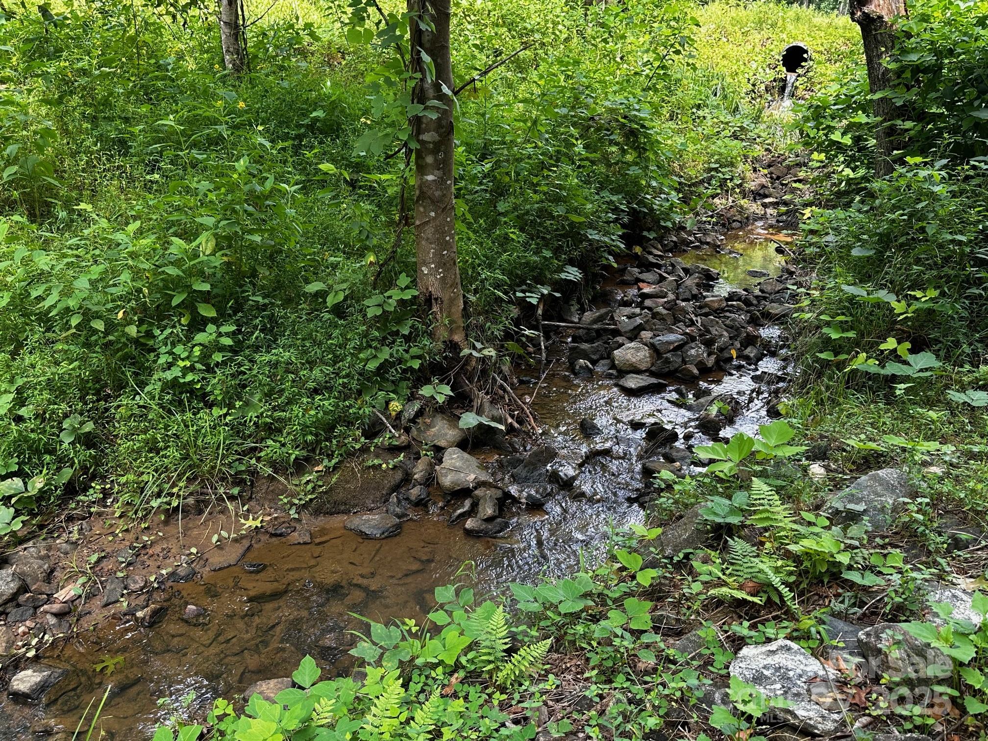 9999 Rock Ledge Drive Lake Lure NC 28746