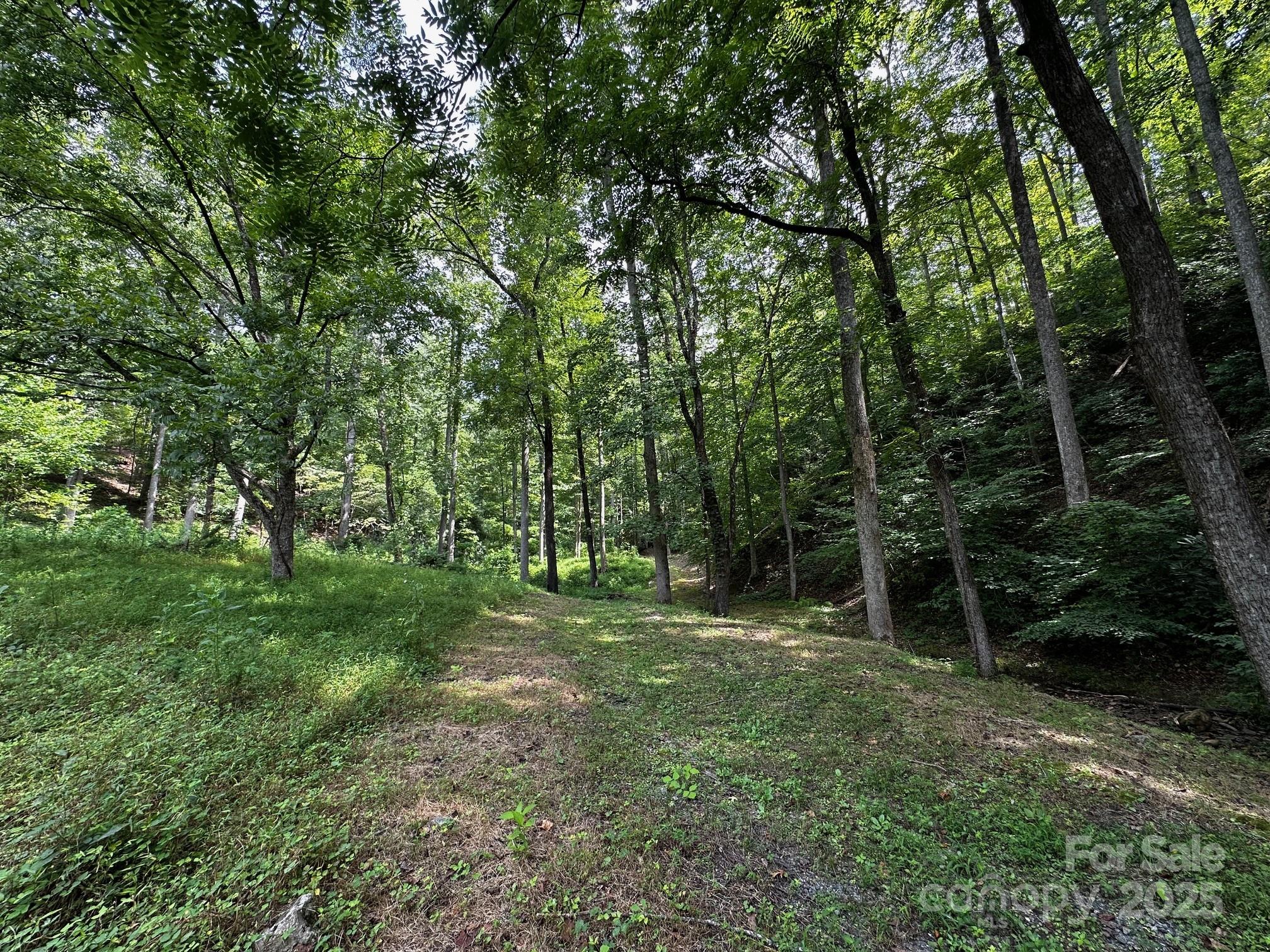 9999 Rock Ledge Drive Lake Lure NC 28746