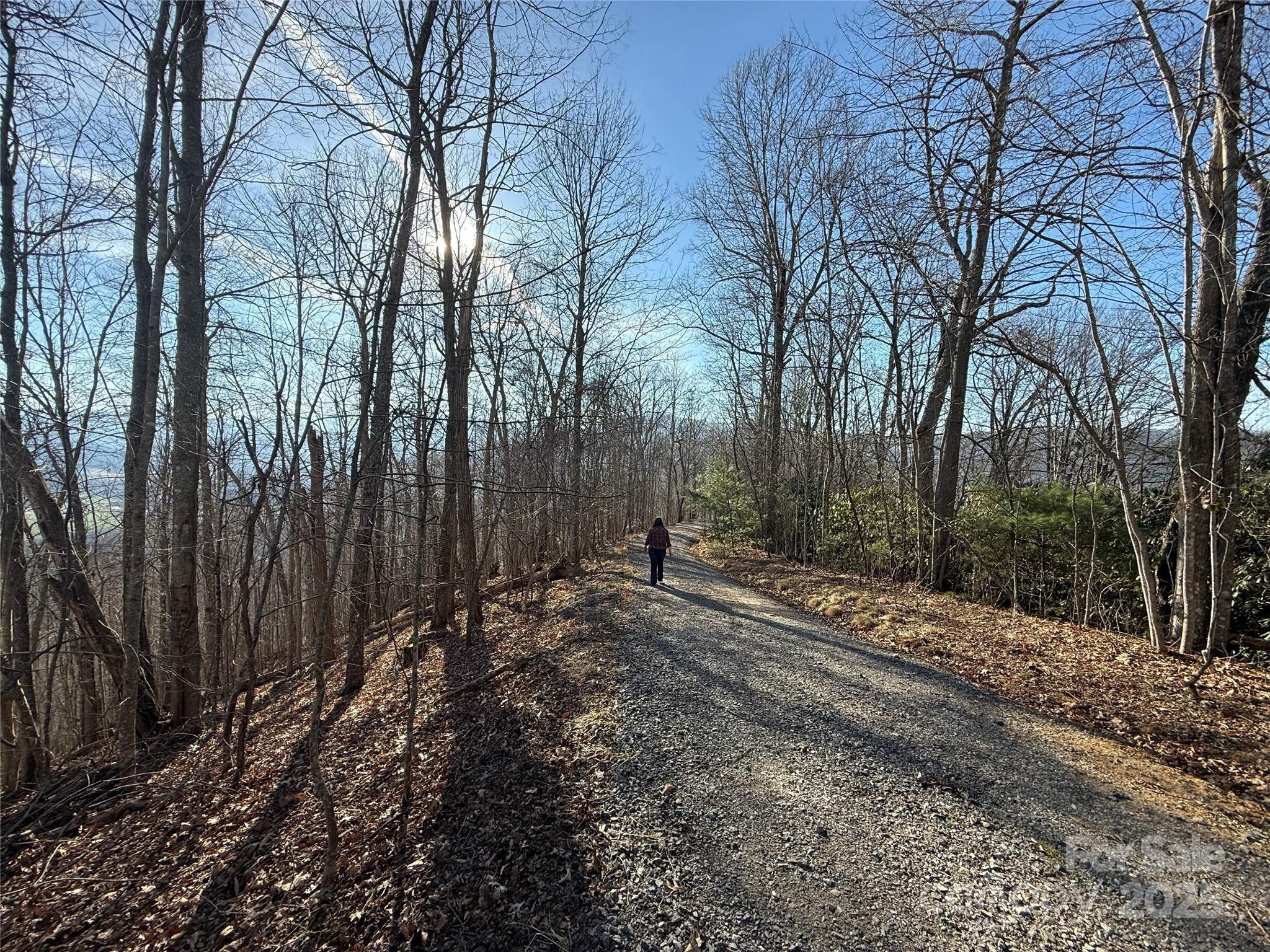 Lot 19 Brer Rabbit Trail Waynesville NC 28785