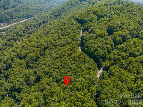 Lot 3 Cedar Mountain Road Asheville NC 28803