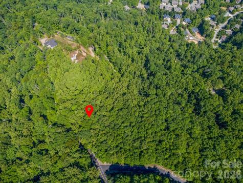 Lot 3 Cedar Mountain Road Asheville NC 28803