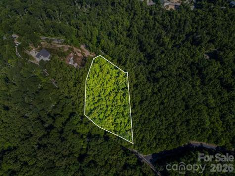 Lot 3 Cedar Mountain Road Asheville NC 28803