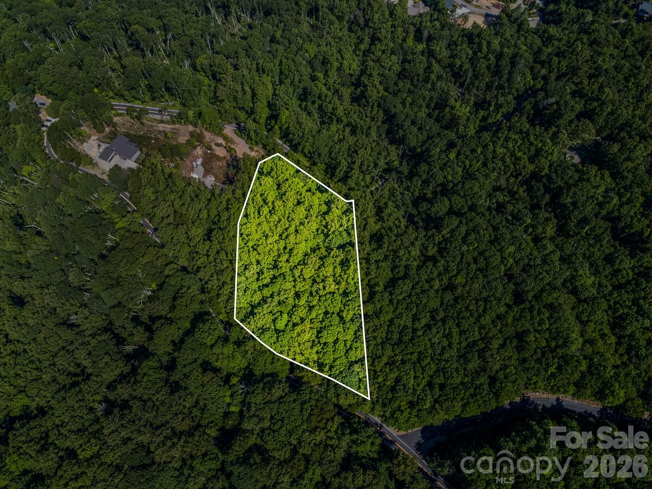 Lot 3 Cedar Mountain Road Asheville NC 28803
