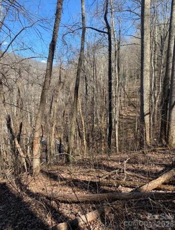 Lot 3 Cedar Mountain Road Asheville NC 28803