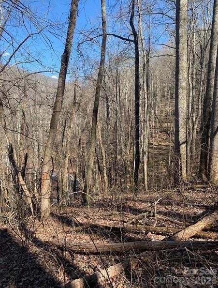 Lot 3 Cedar Mountain Road Asheville NC 28803