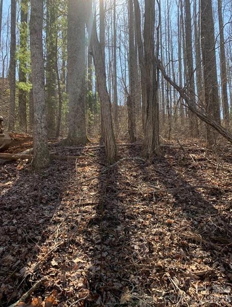 Lot 3 Cedar Mountain Road Asheville NC 28803