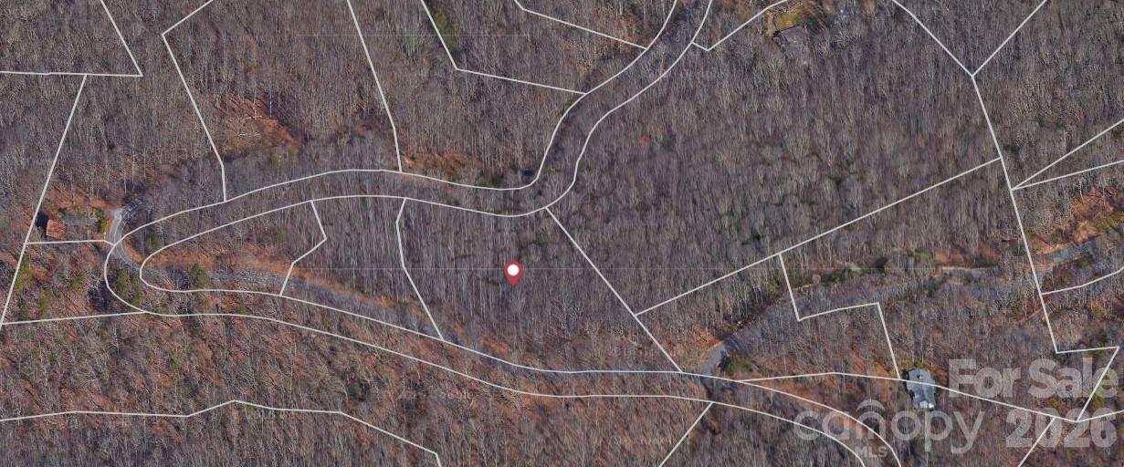 Lot 3 Cedar Mountain Road Asheville NC 28803