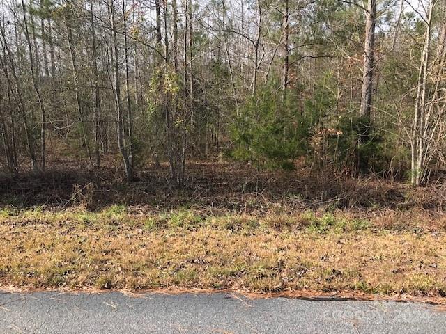 00 Woodstock Lane Rutherfordton NC 28139