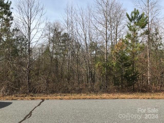 00 Woodstock Lane Rutherfordton NC 28139