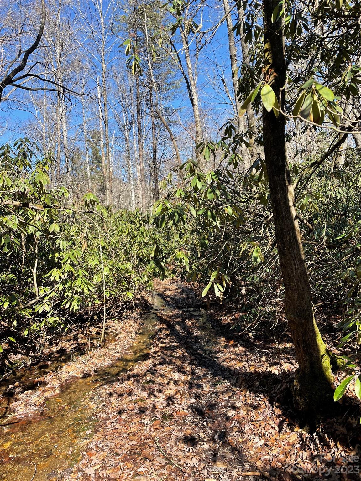 000 Ridgecrest Highway Black Mountain NC 28711