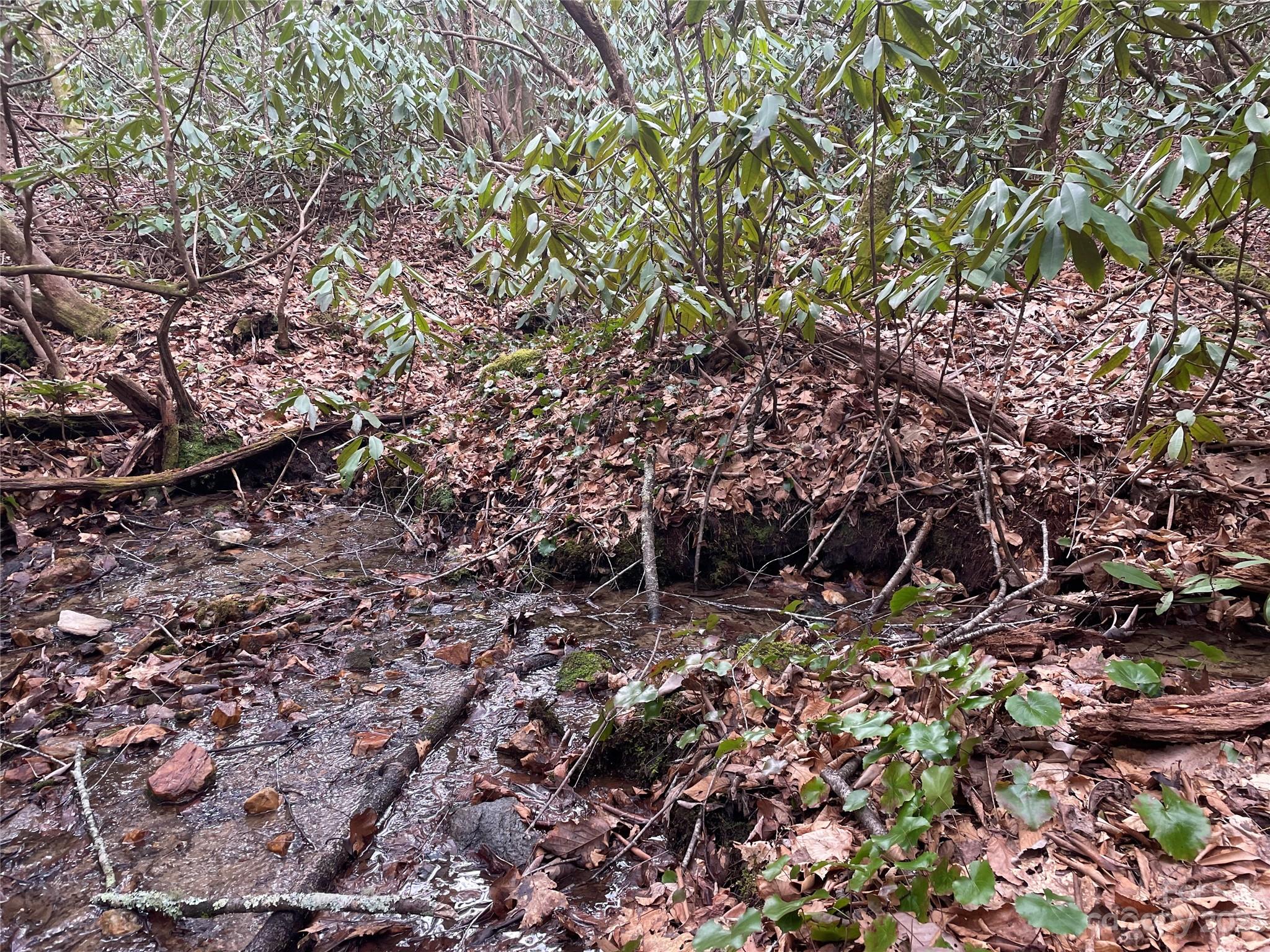 000 Ridgecrest Highway Black Mountain NC 28711