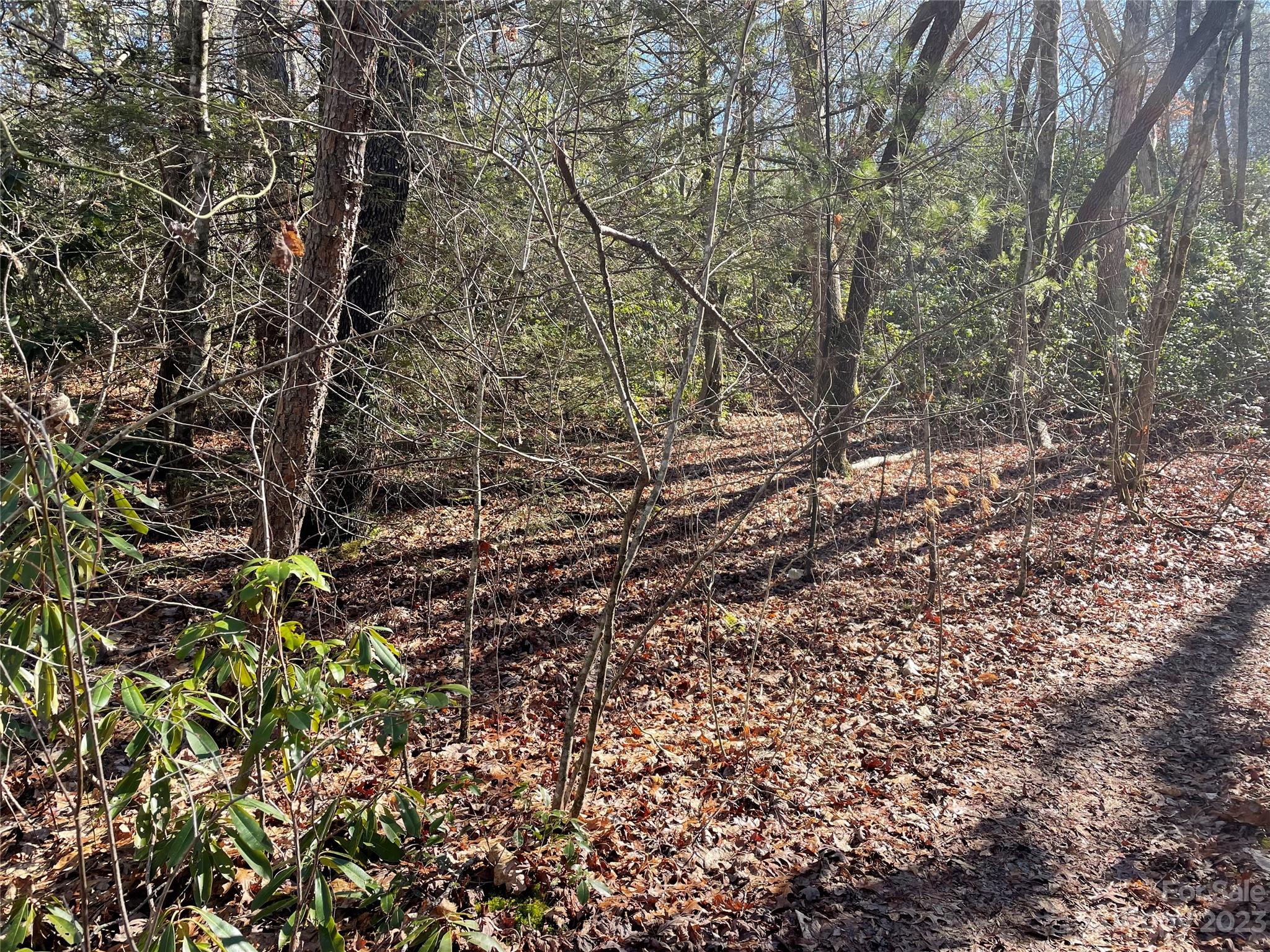 000 Ridgecrest Highway Black Mountain NC 28711