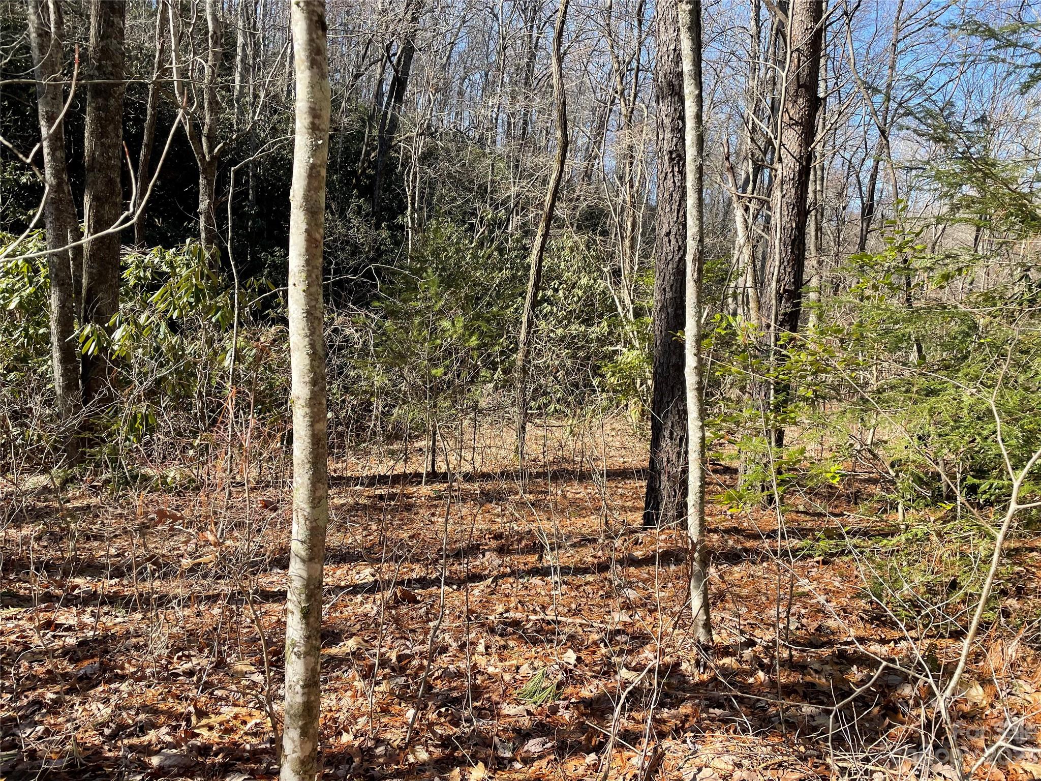 000 Ridgecrest Highway Black Mountain NC 28711