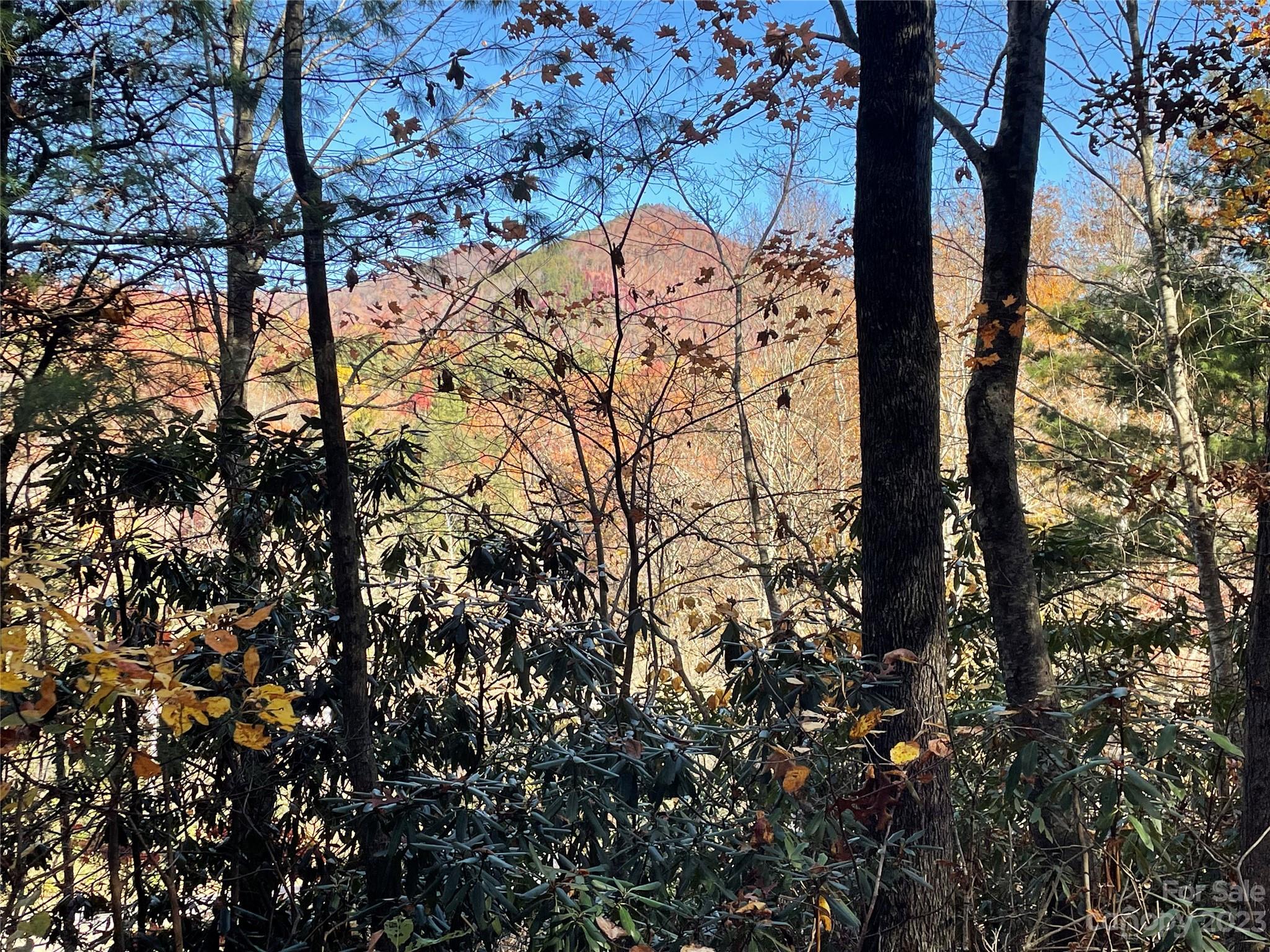 000 Ridgecrest Highway Black Mountain NC 28711