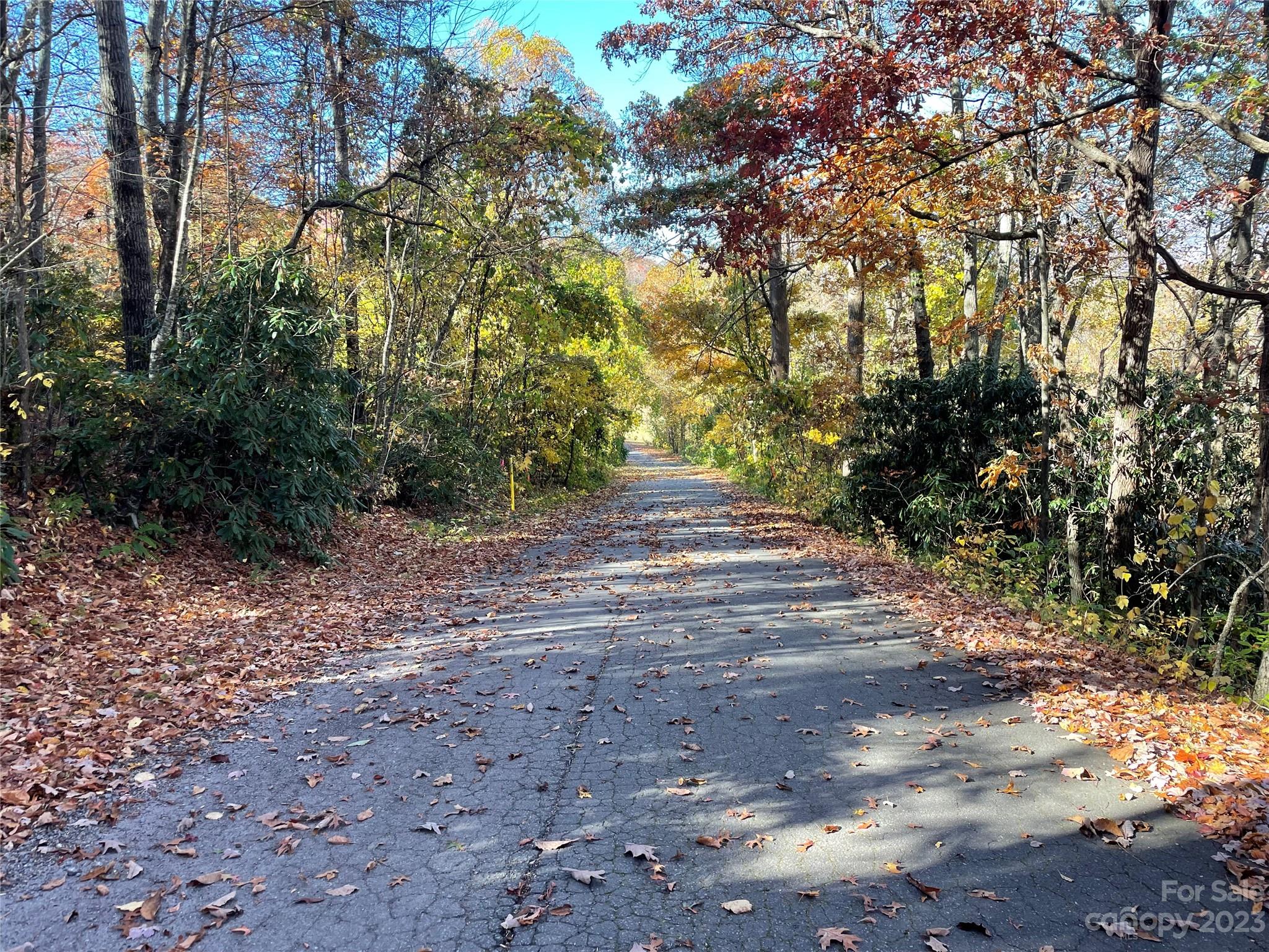 000 Ridgecrest Highway Black Mountain NC 28711