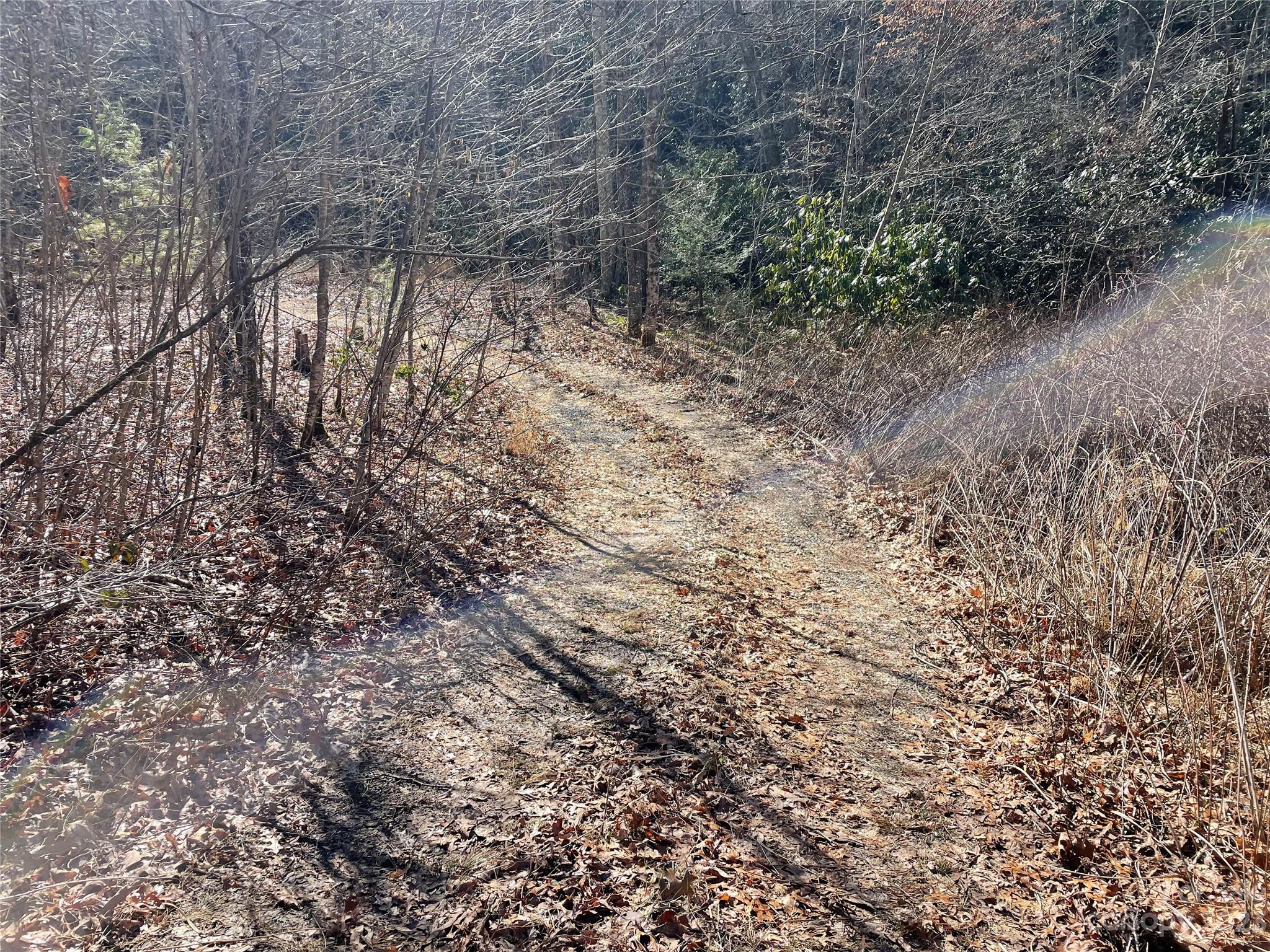 000 Ridgecrest Highway Black Mountain NC 28711