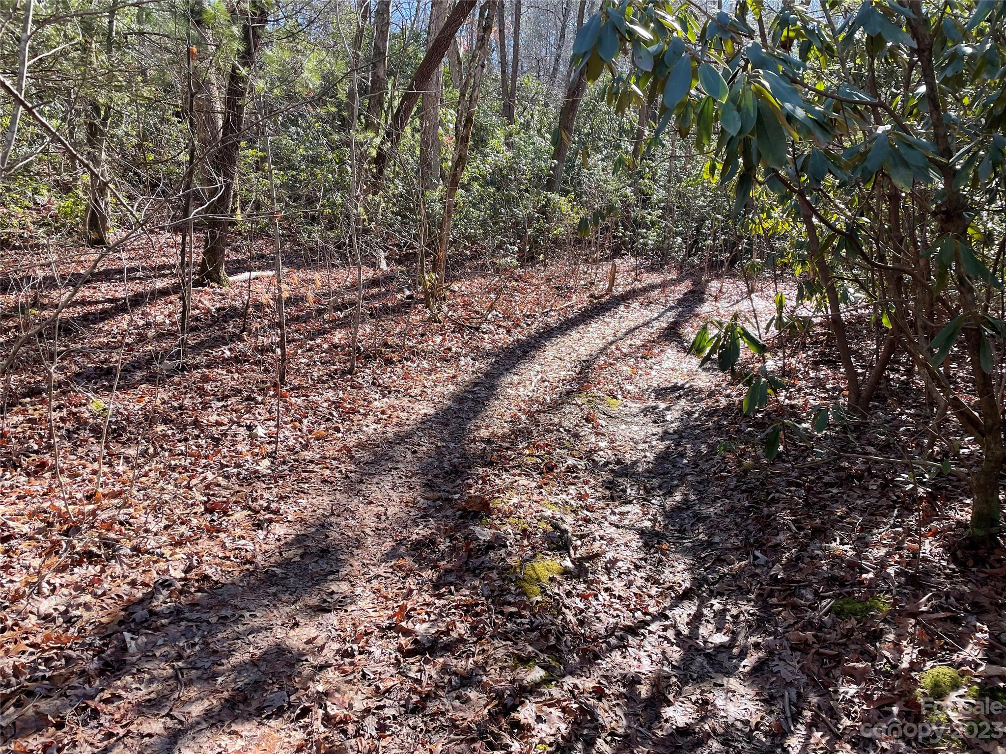 000 Ridgecrest Highway Black Mountain NC 28711