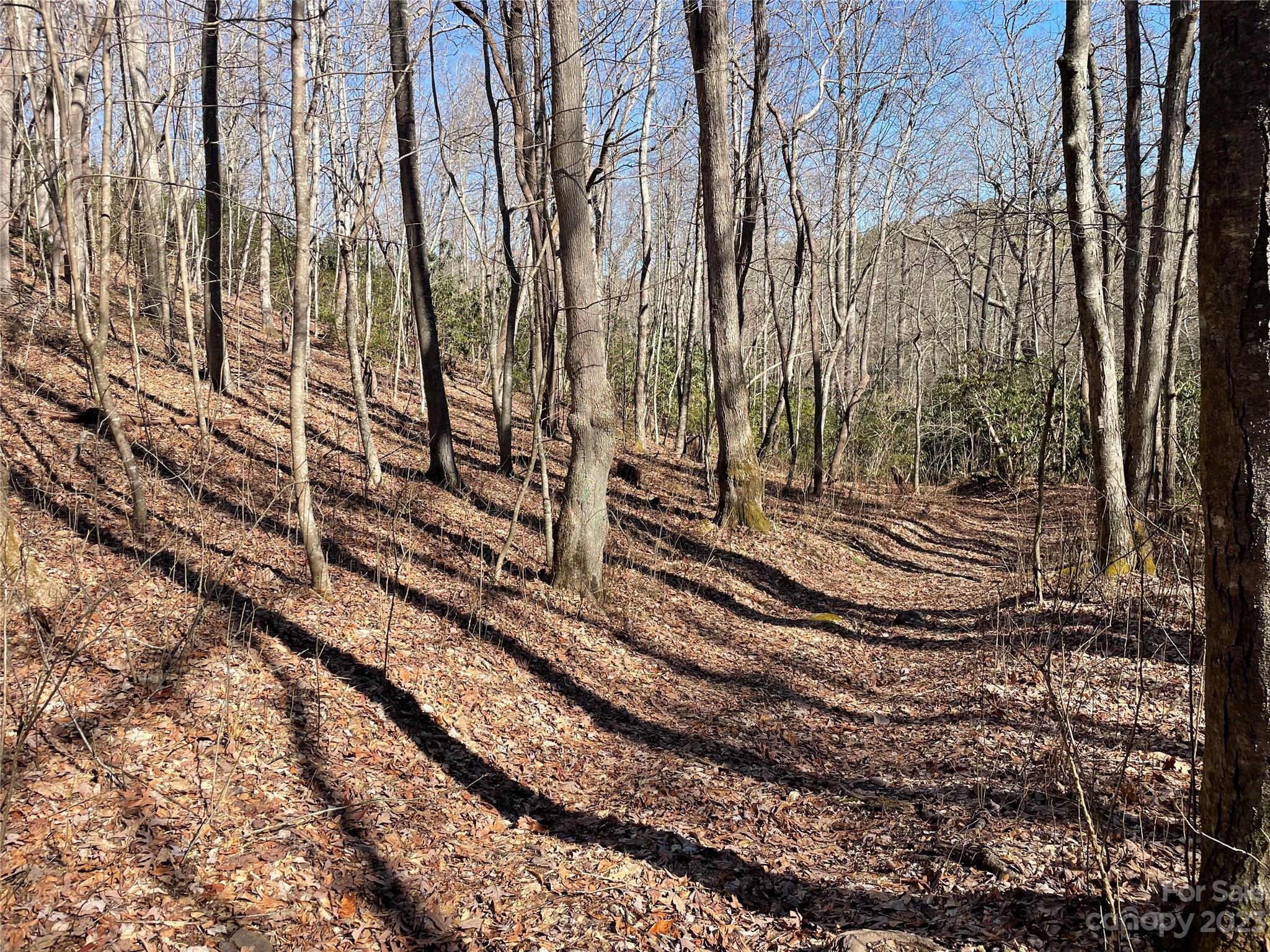 000 Ridgecrest Highway Black Mountain NC 28711