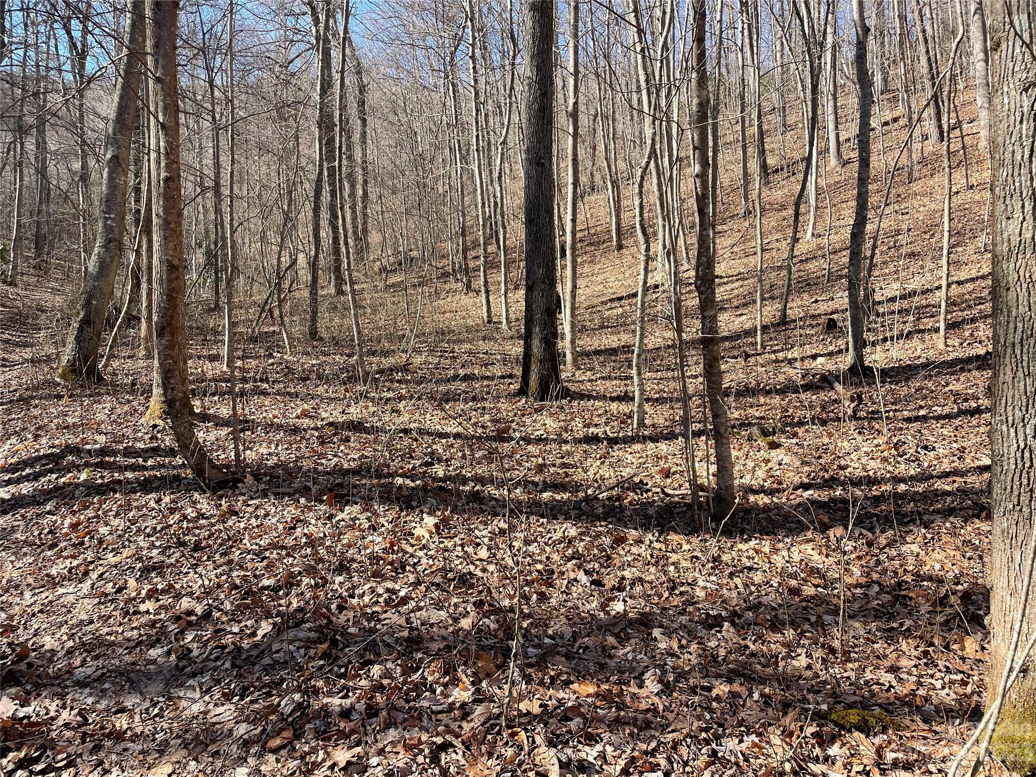 000 Ridgecrest Highway Black Mountain NC 28711