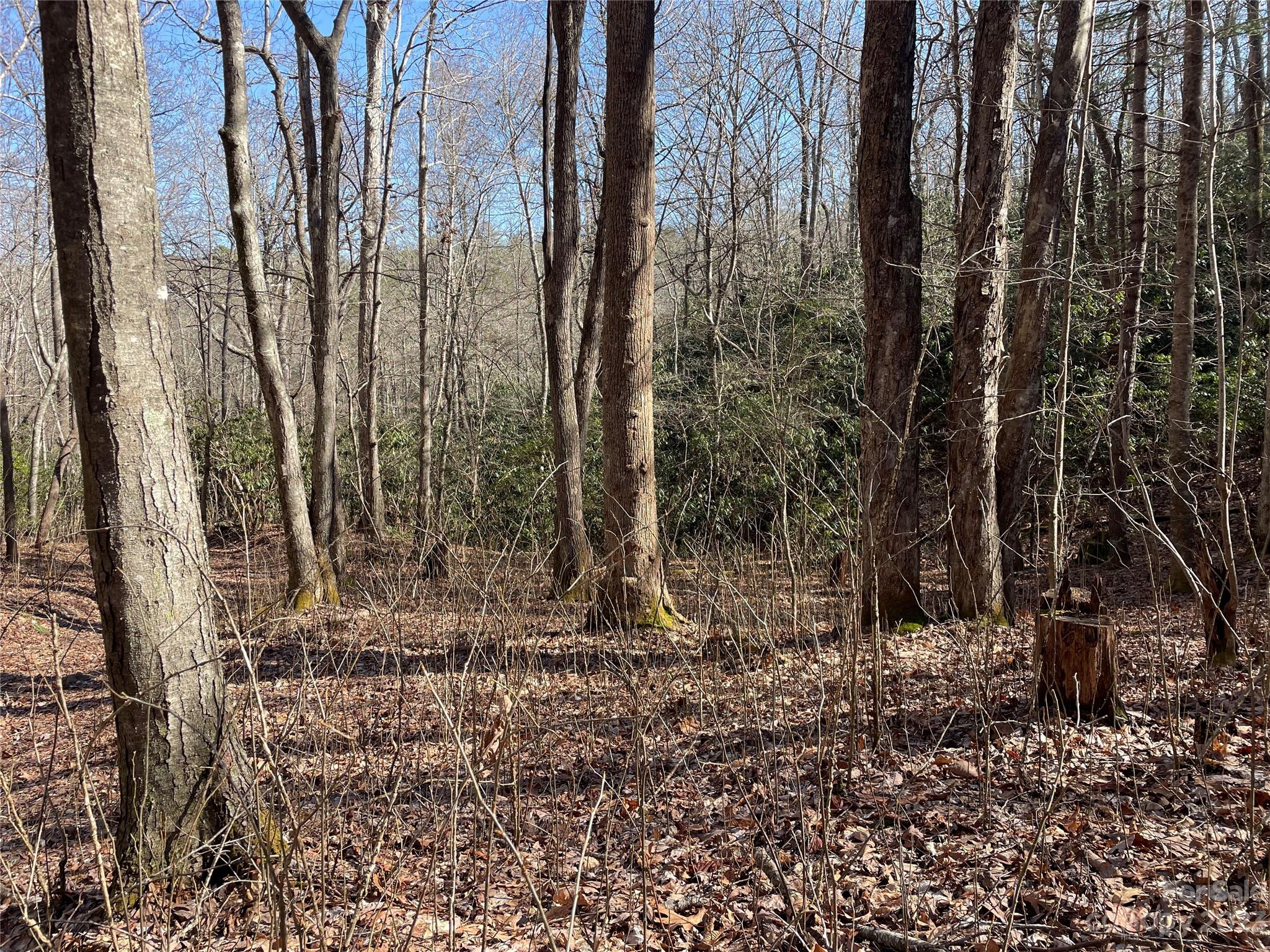 000 Ridgecrest Highway Black Mountain NC 28711