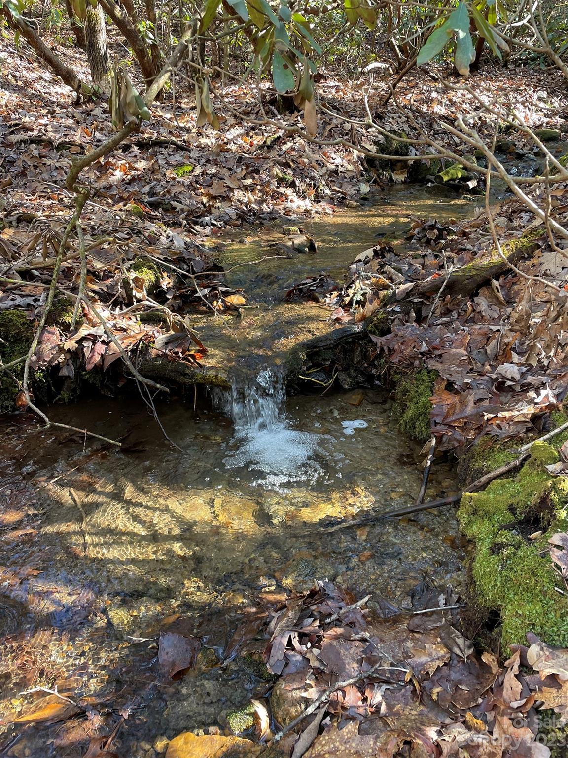 000 Ridgecrest Highway Black Mountain NC 28711