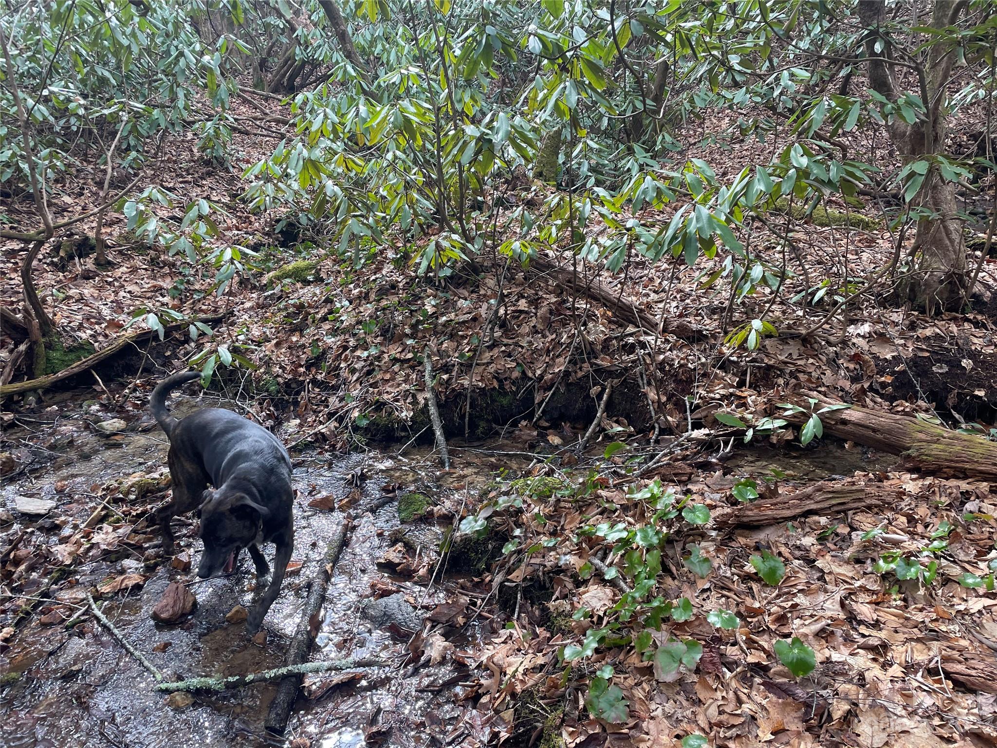 000 Ridgecrest Highway Black Mountain NC 28711