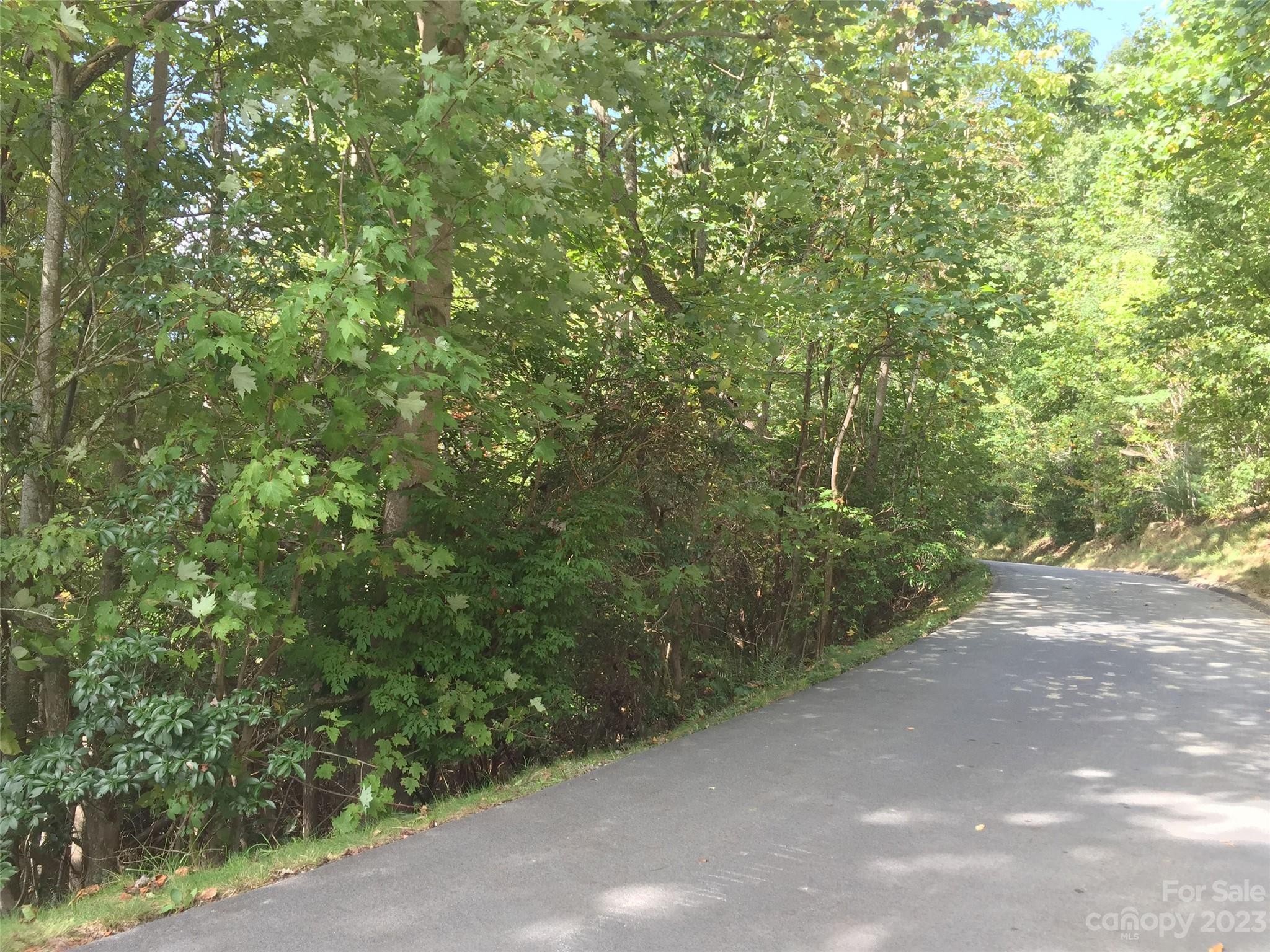 216 Bent Pine Trace Hendersonville NC 28739
