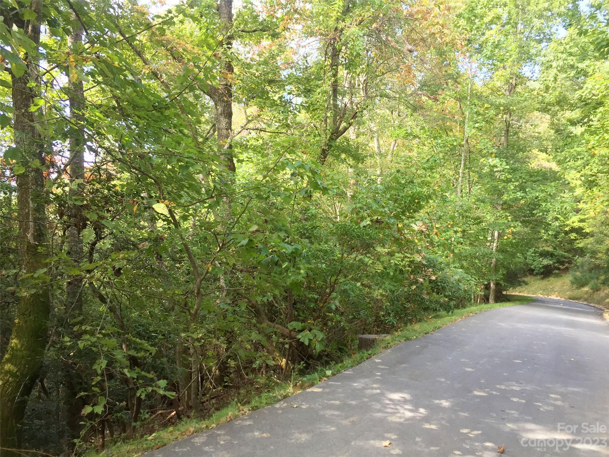 216 Bent Pine Trace Hendersonville NC 28739