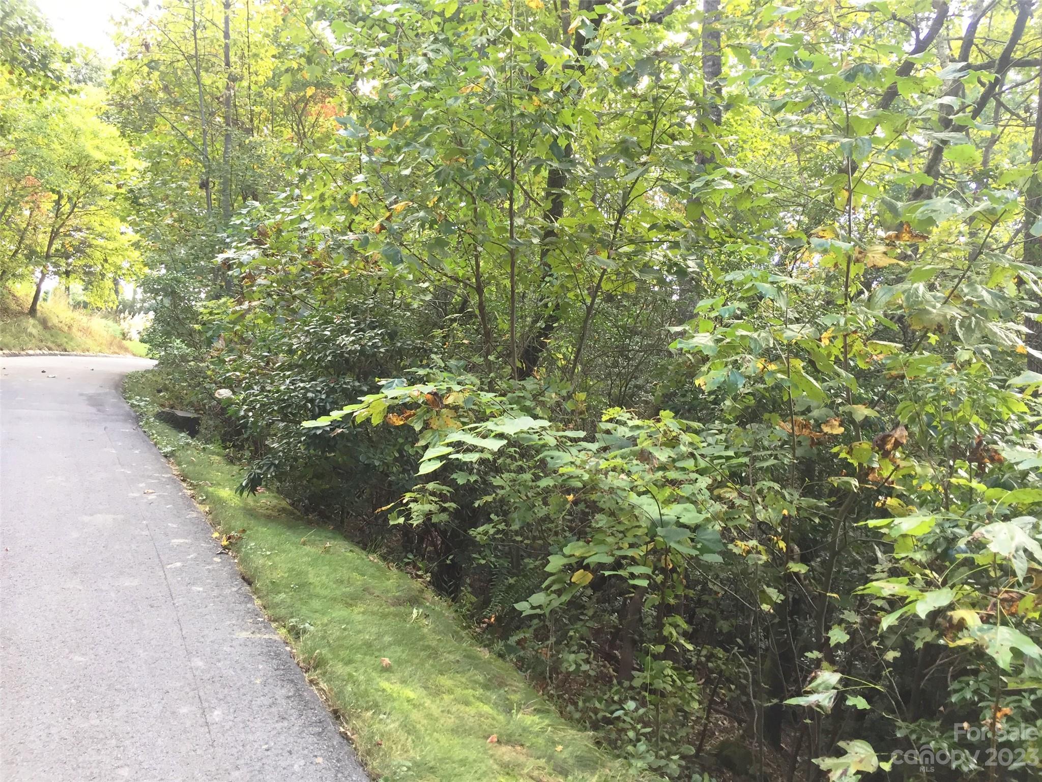 216 Bent Pine Trace Hendersonville NC 28739