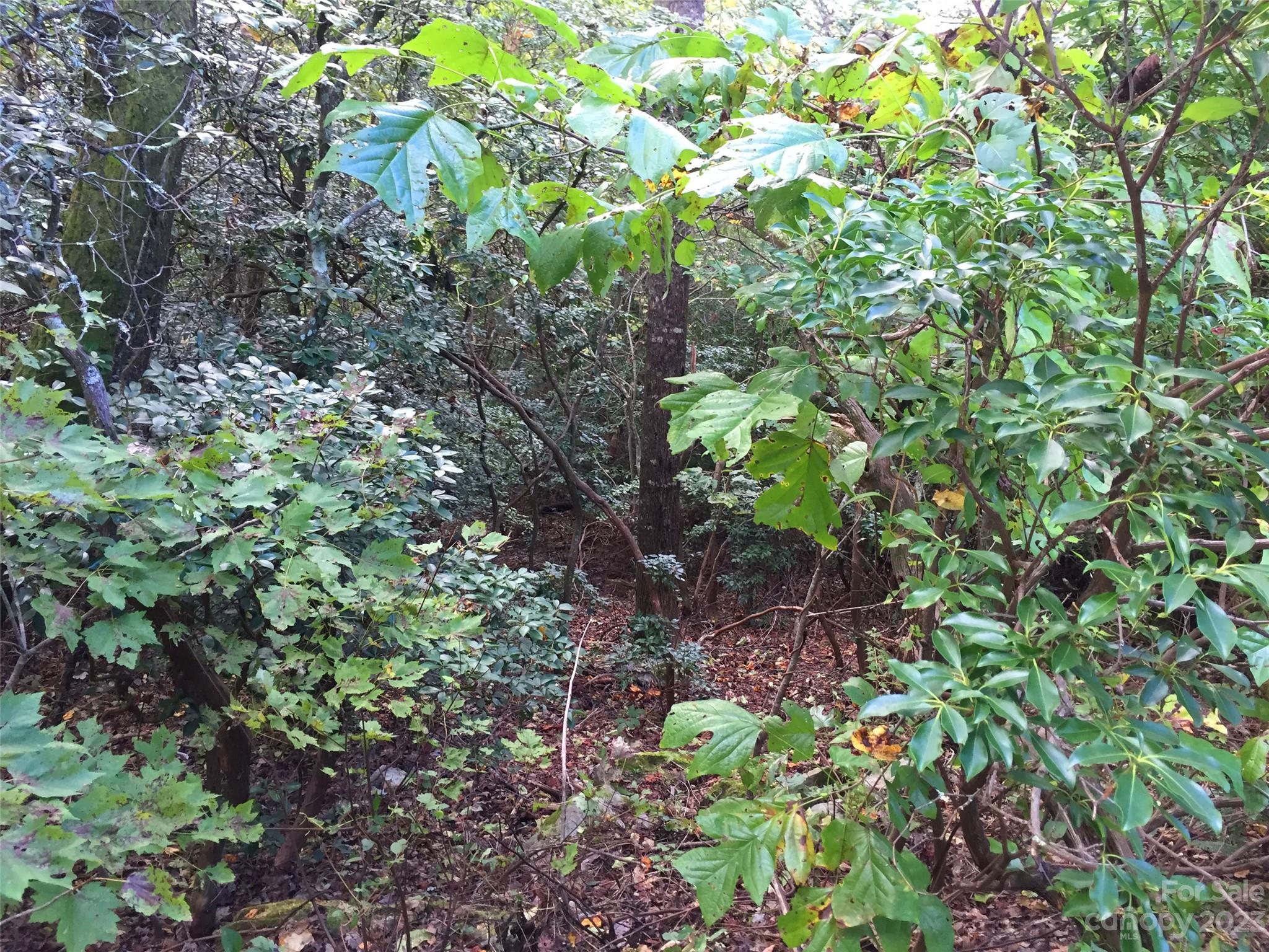 216 Bent Pine Trace Hendersonville NC 28739