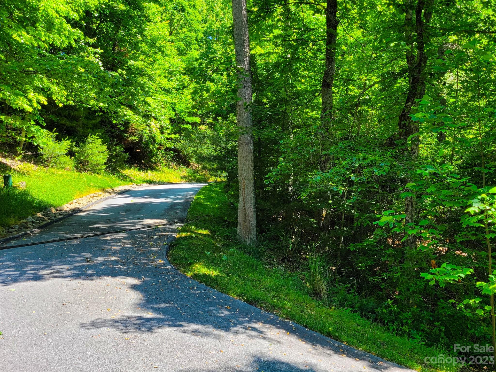 216 Bent Pine Trace Hendersonville NC 28739