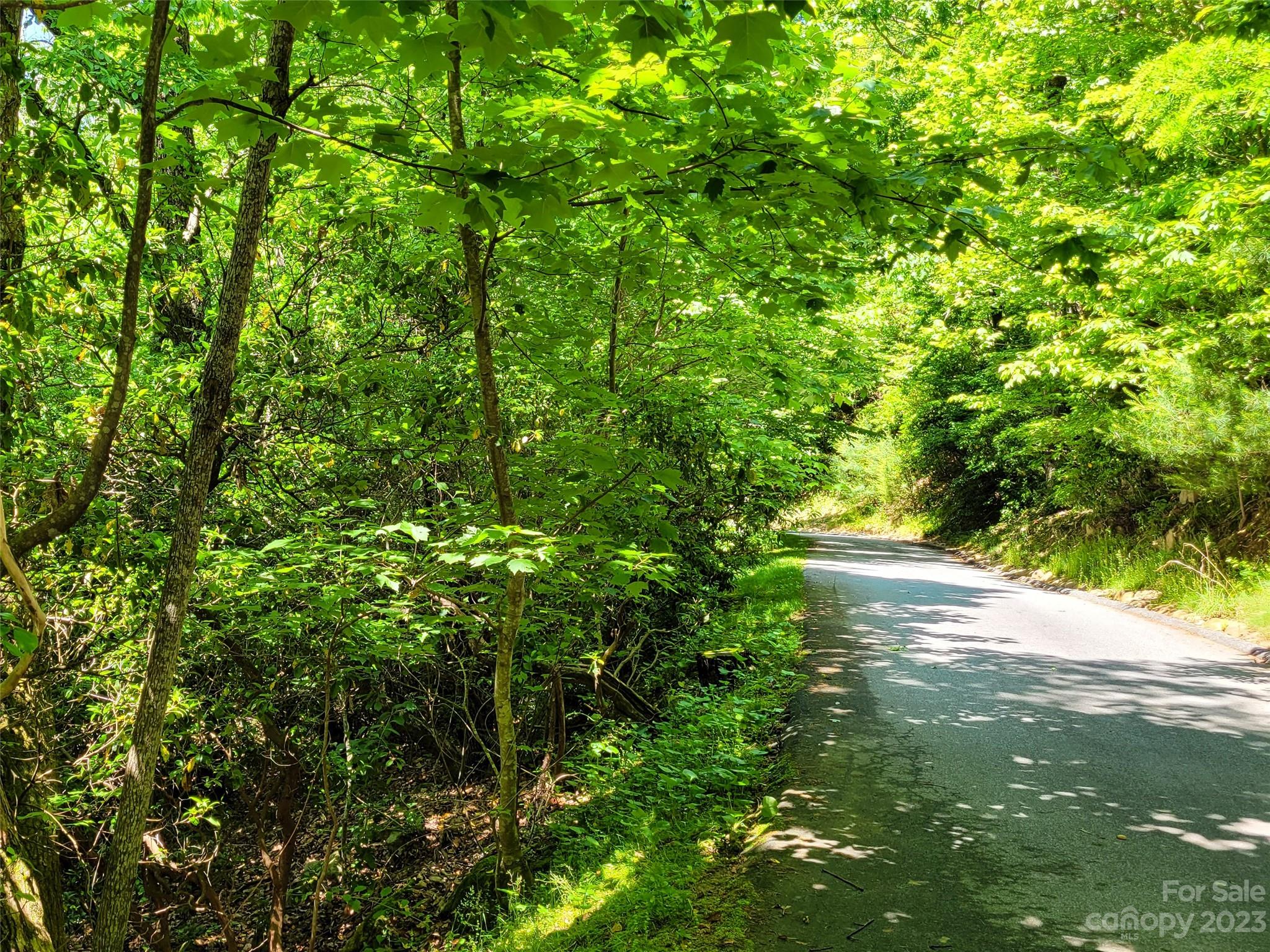 216 Bent Pine Trace Hendersonville NC 28739