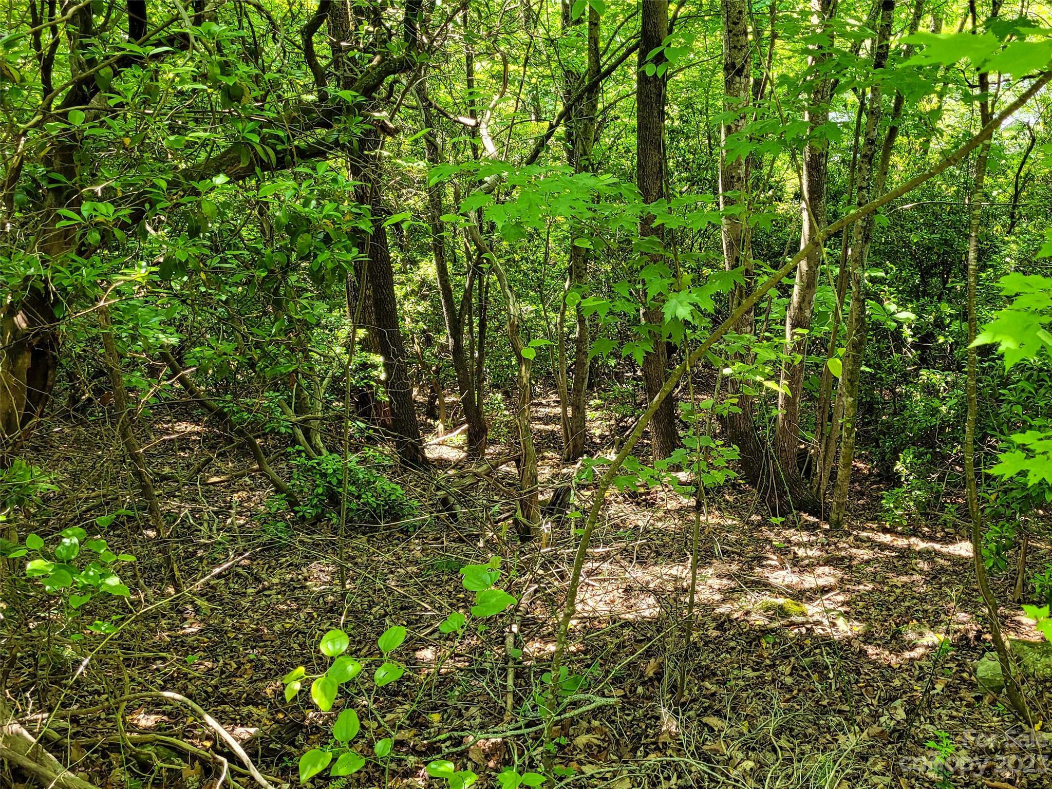 216 Bent Pine Trace Hendersonville NC 28739