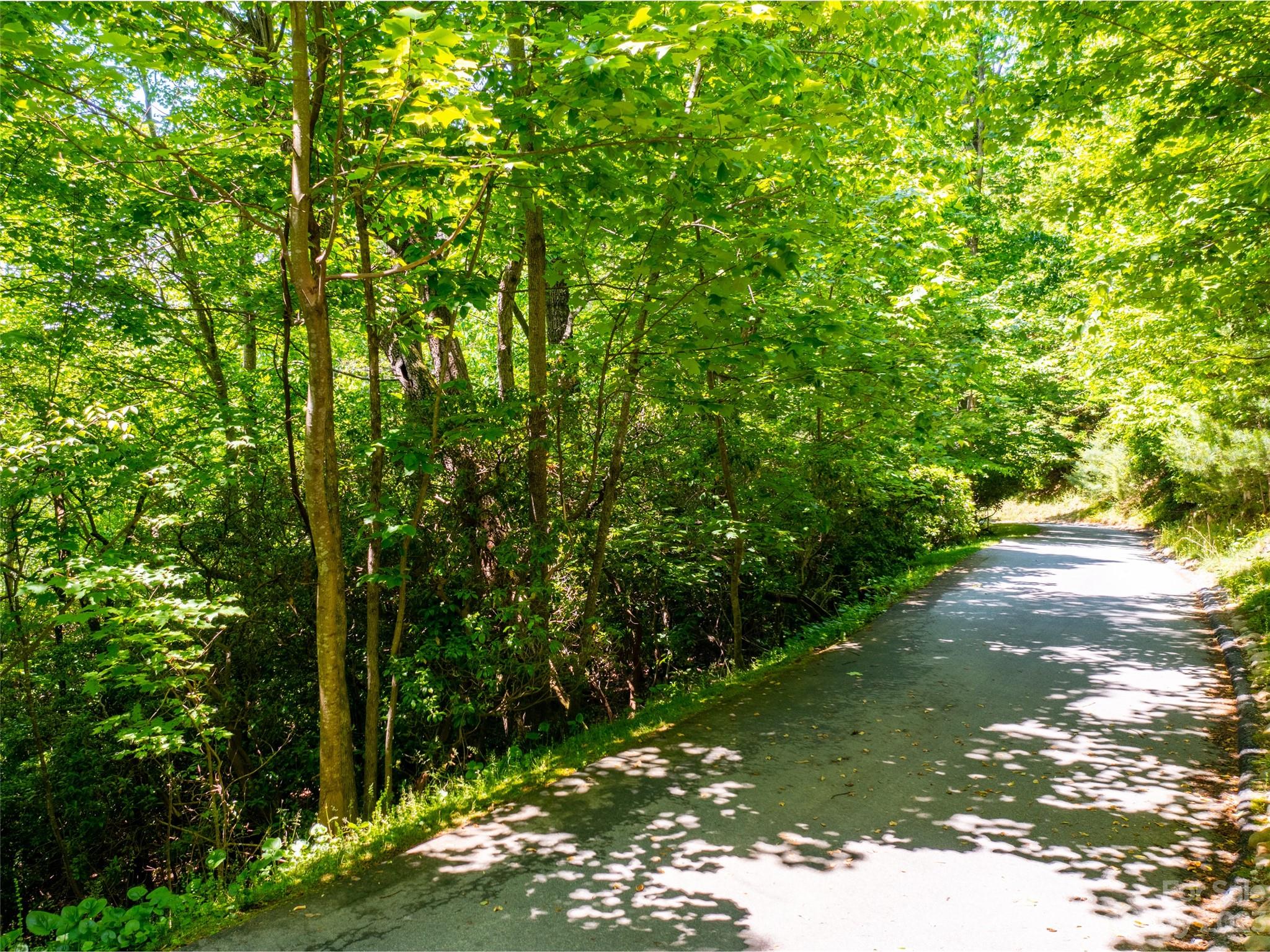 216 Bent Pine Trace Hendersonville NC 28739