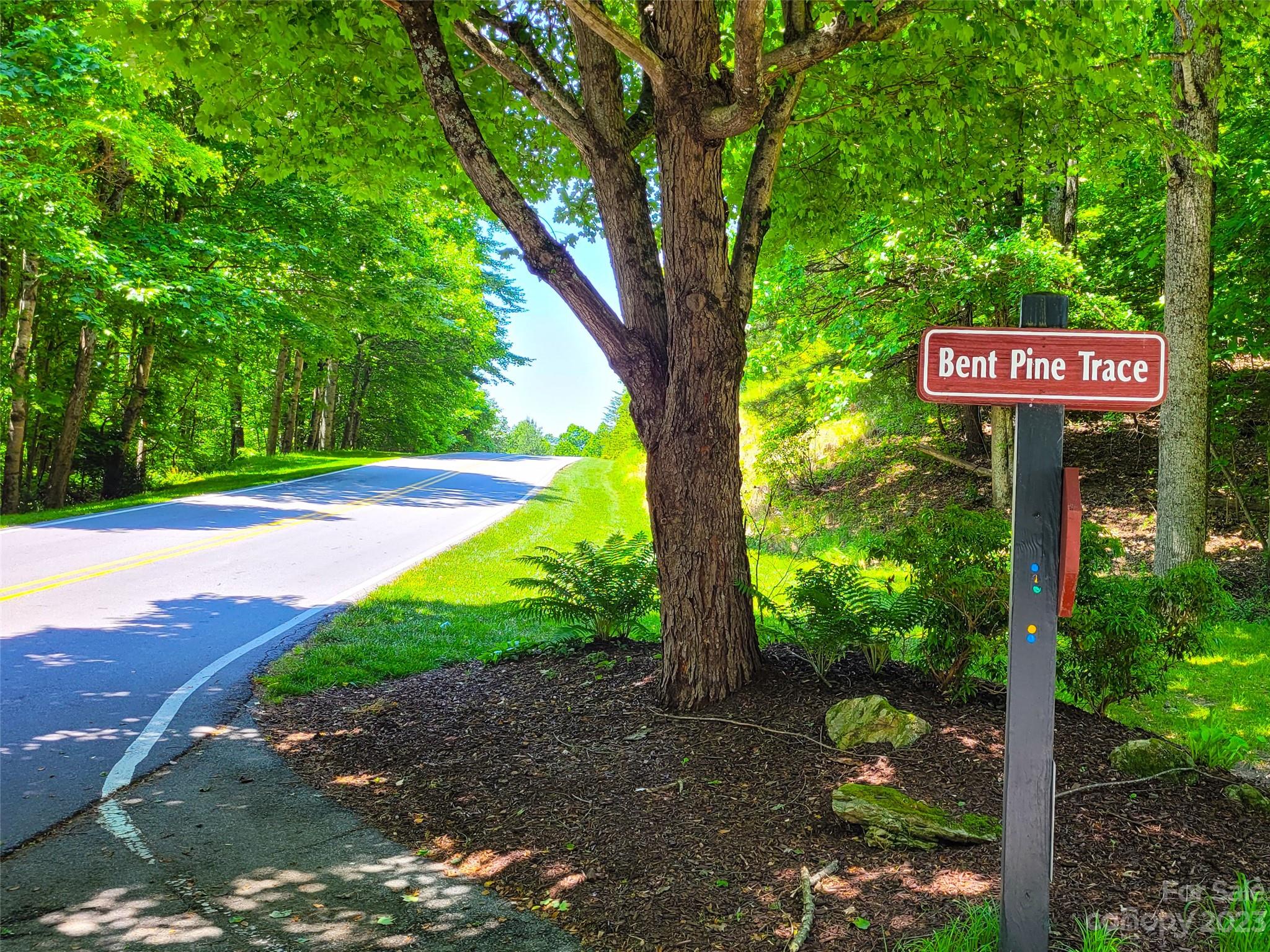 216 Bent Pine Trace Hendersonville NC 28739