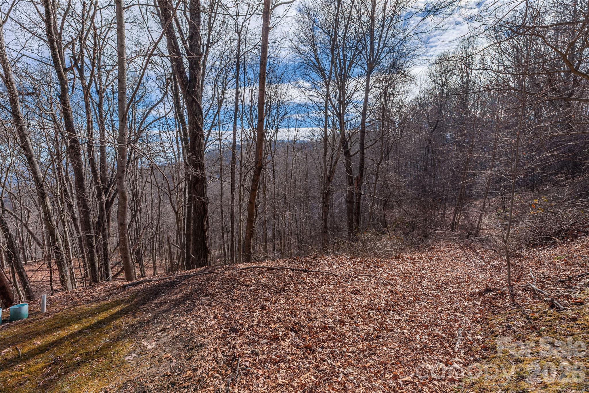 00 Utah Mountain Road Waynesville NC 28785