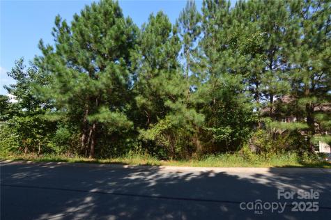 2033 Beauhaven Lane Belmont NC 28012
