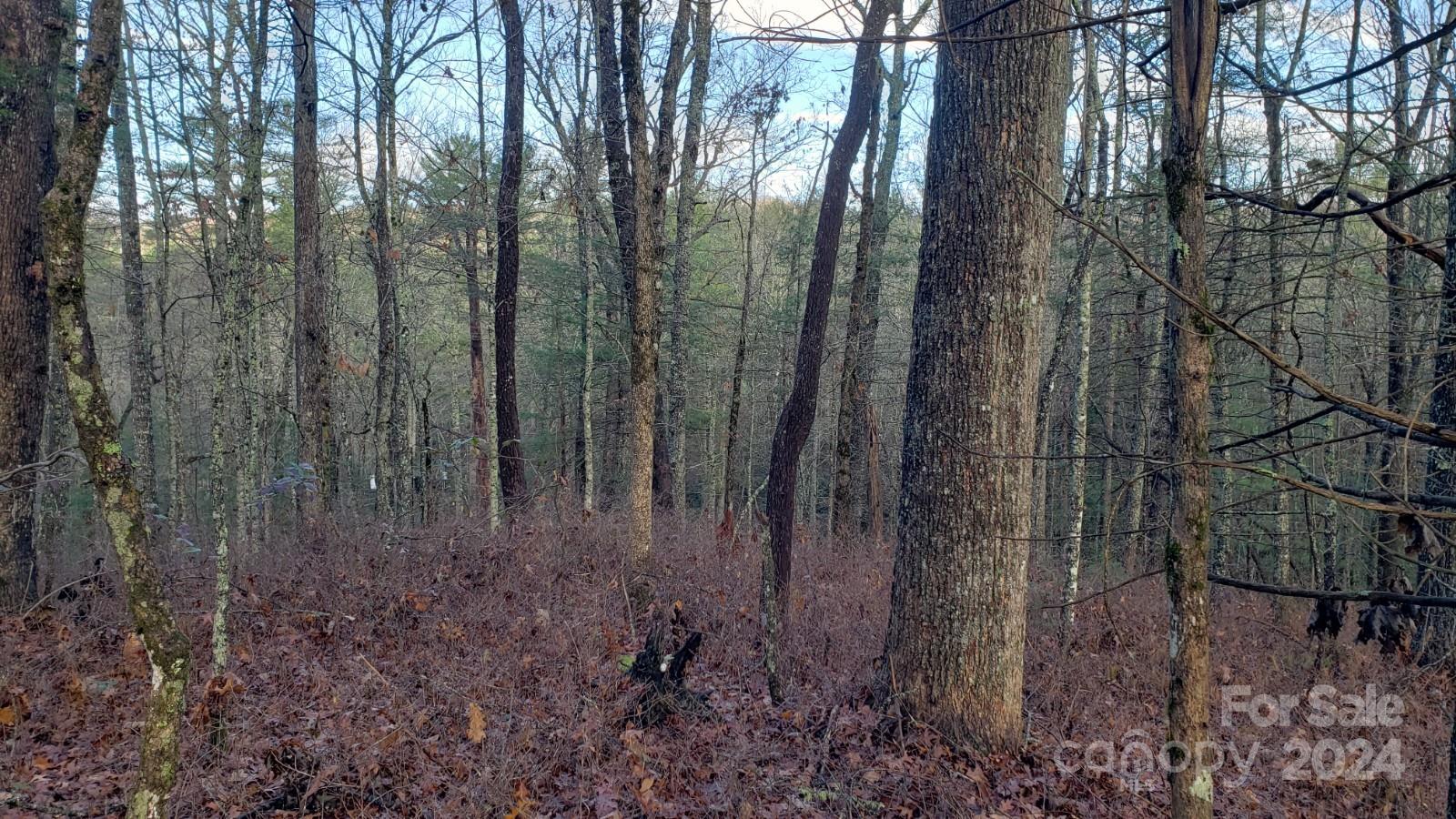 Tbd Cedar Lane Brevard NC 28712