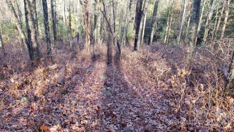 Tbd Cedar Lane Brevard NC 28712